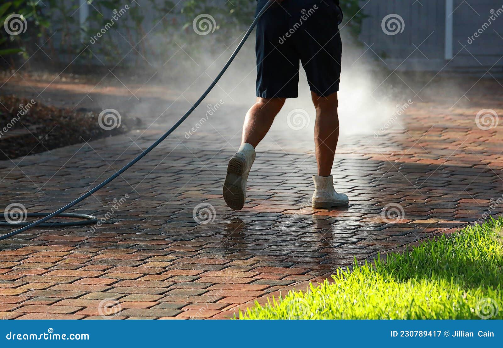 driveway paver cleaning