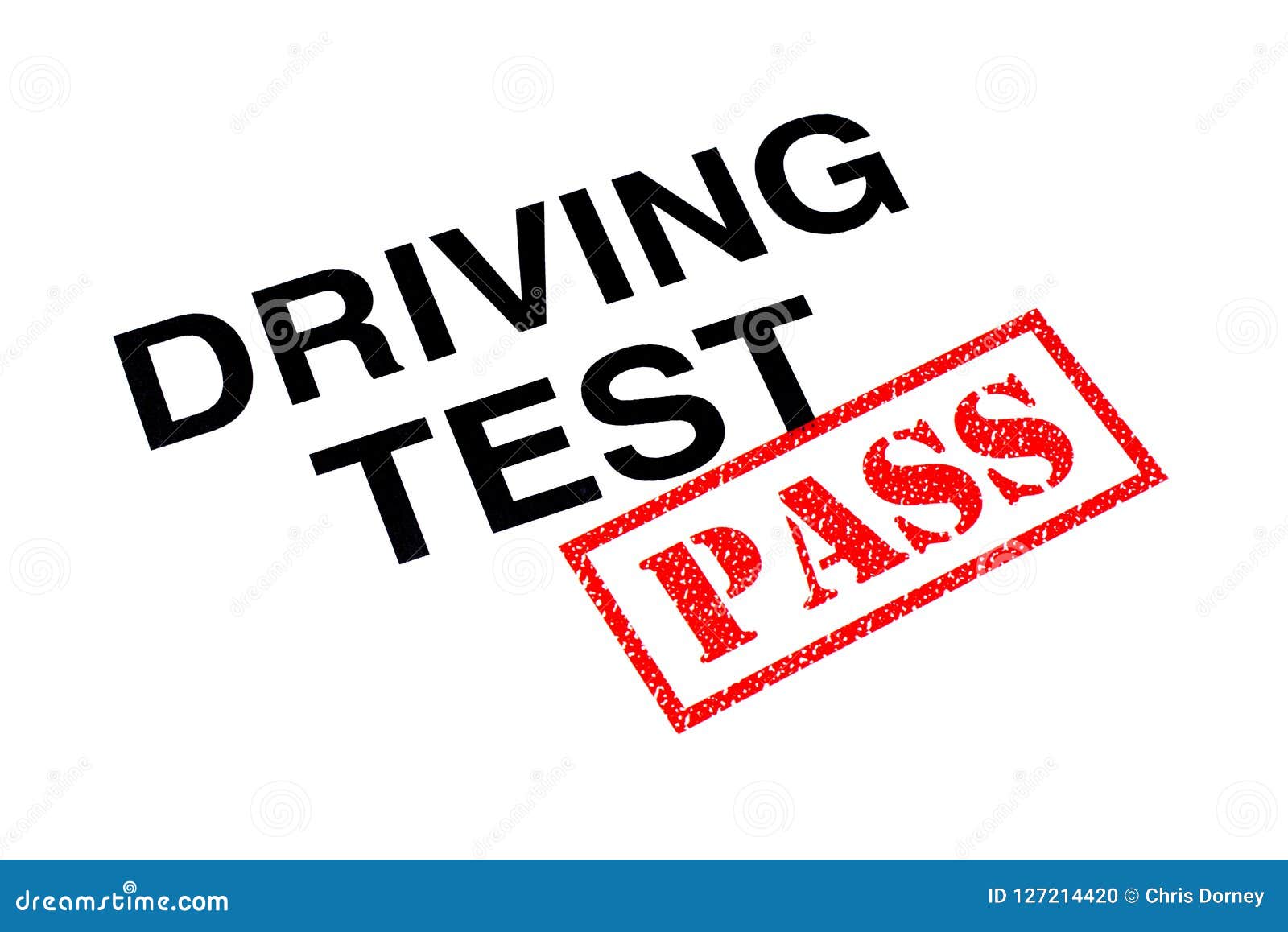 Driving Test Banner With Driver License And Car Cartoon Vector 231506317