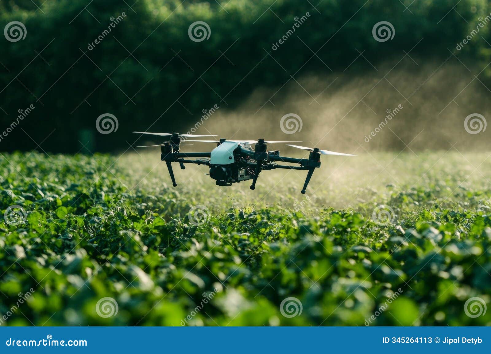 drone flies over a green field and sprays useful pesticides.