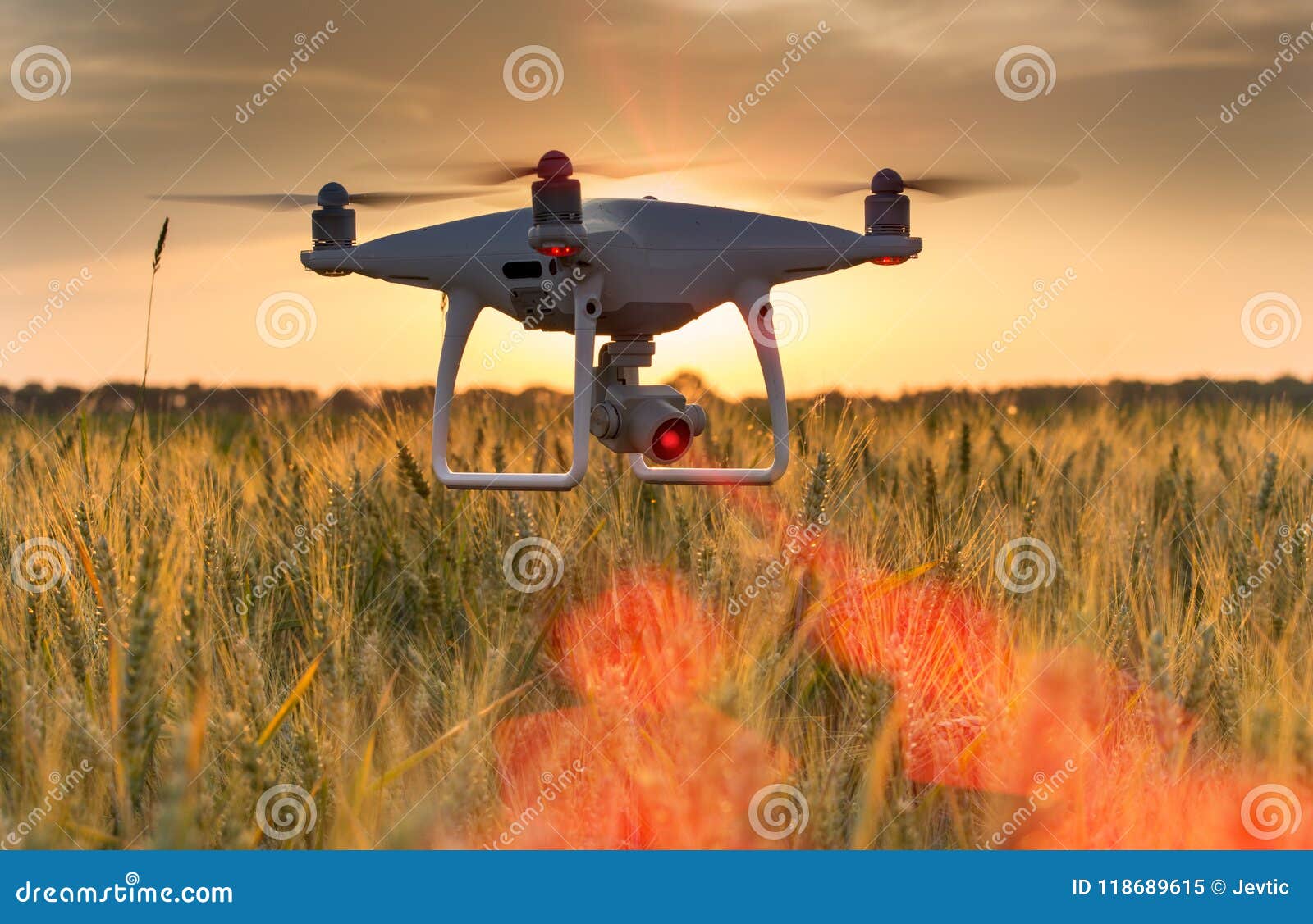 drone flying above wheat field and mapping