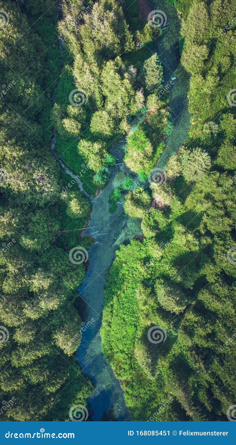 Aerial of a Beautiful Forest and River Running through Stock Image - Image of river, magical: 168085451 Aerial of a Beautiful Forest and River Running through Stock Image - Image of river, magical: 168085451