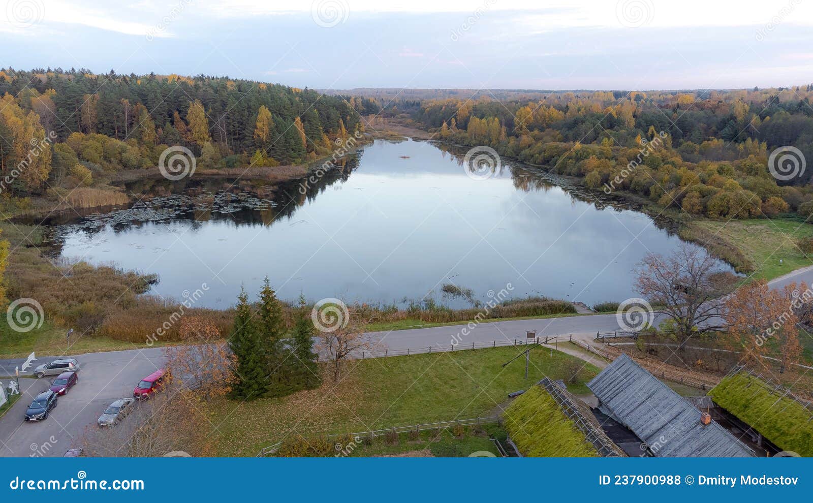 drone shot of lake and trees