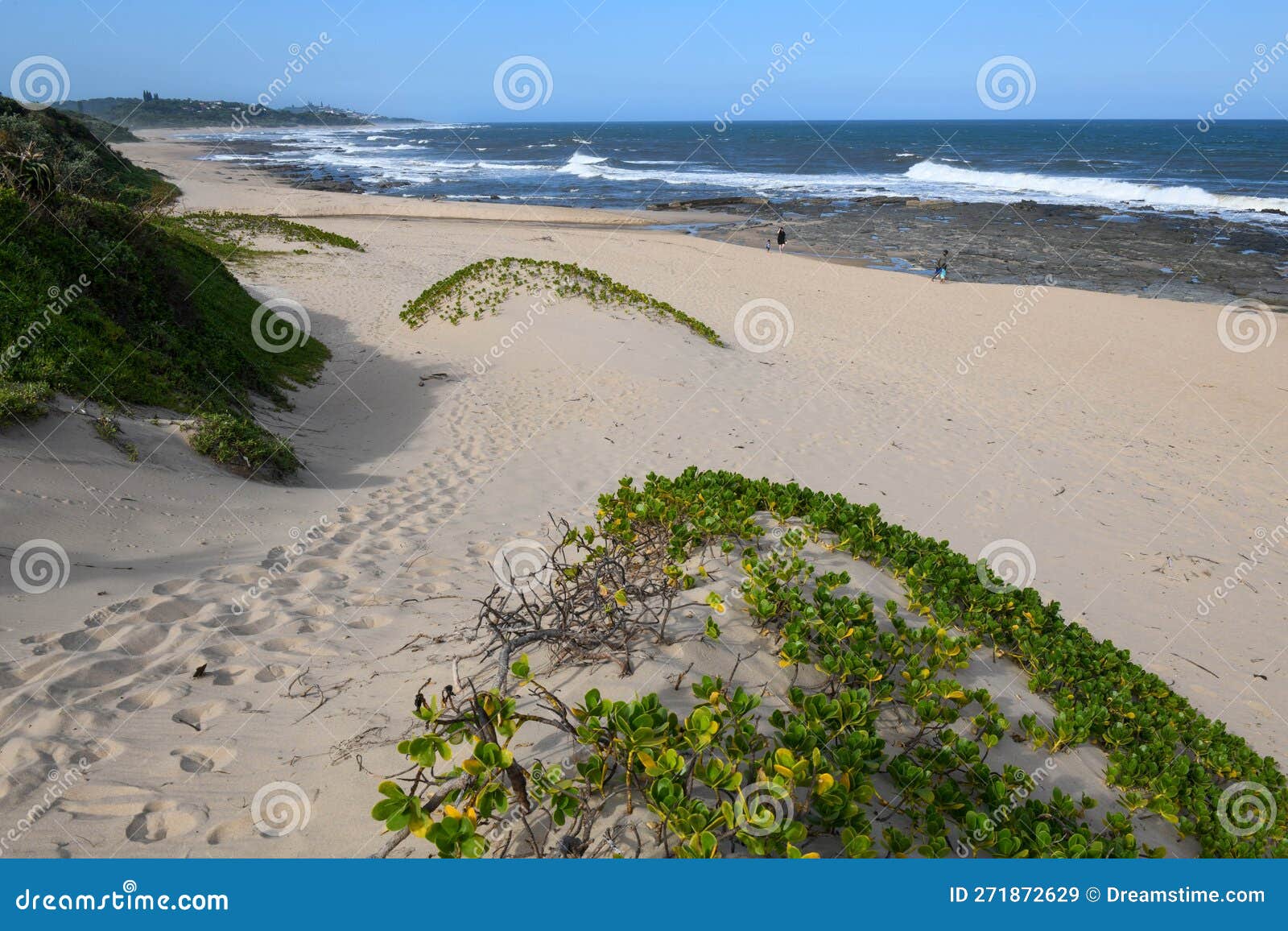 Drone View at Shelly Beach in South Africa Stock Image Image of coast