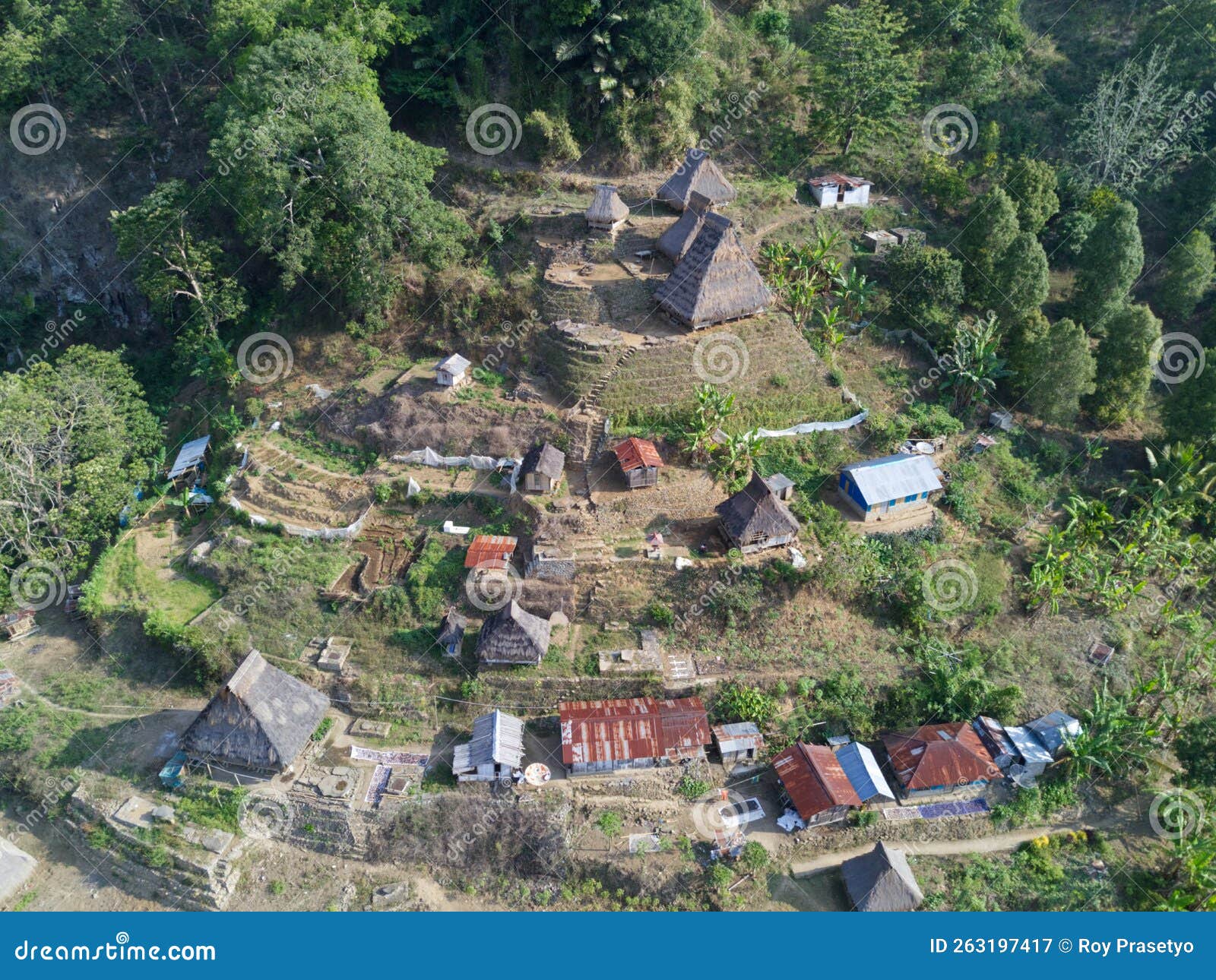 drone view traditional houses in the wologai village in ende east nusa tenggara