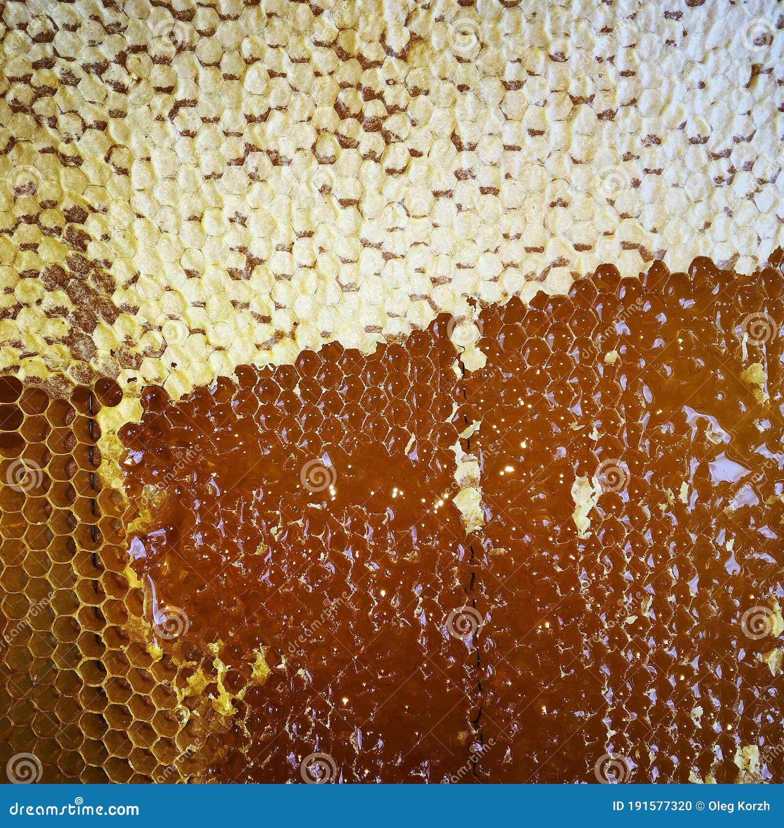 Drop of Bee Honey Drip from Hexagonal Filled with Golden