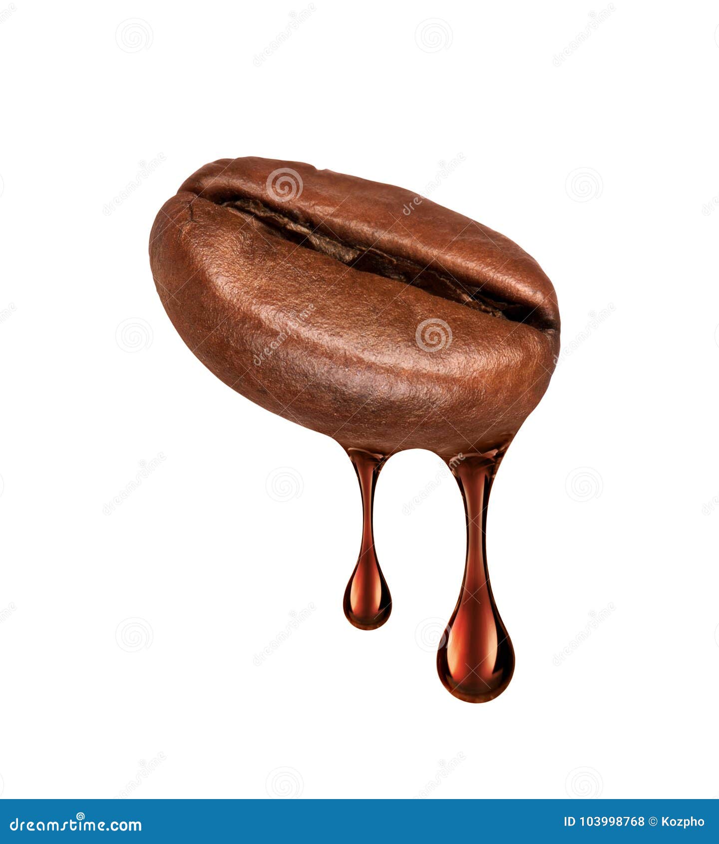 Drop of Coffee Dripping from Coffee Seed Closeup Stock Photo Image