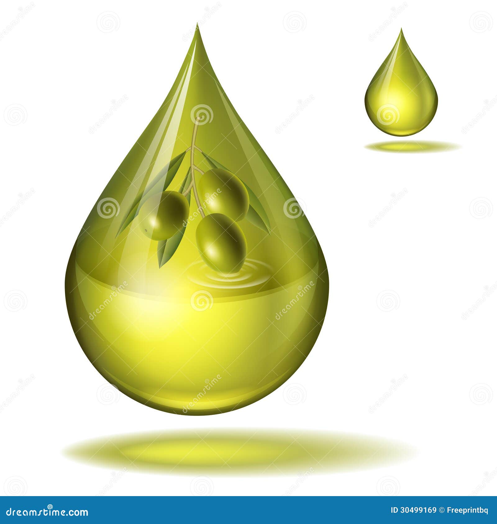 A Drop Of Fine Olive Oil Vector Royalty Free Stock Images Image 30499169