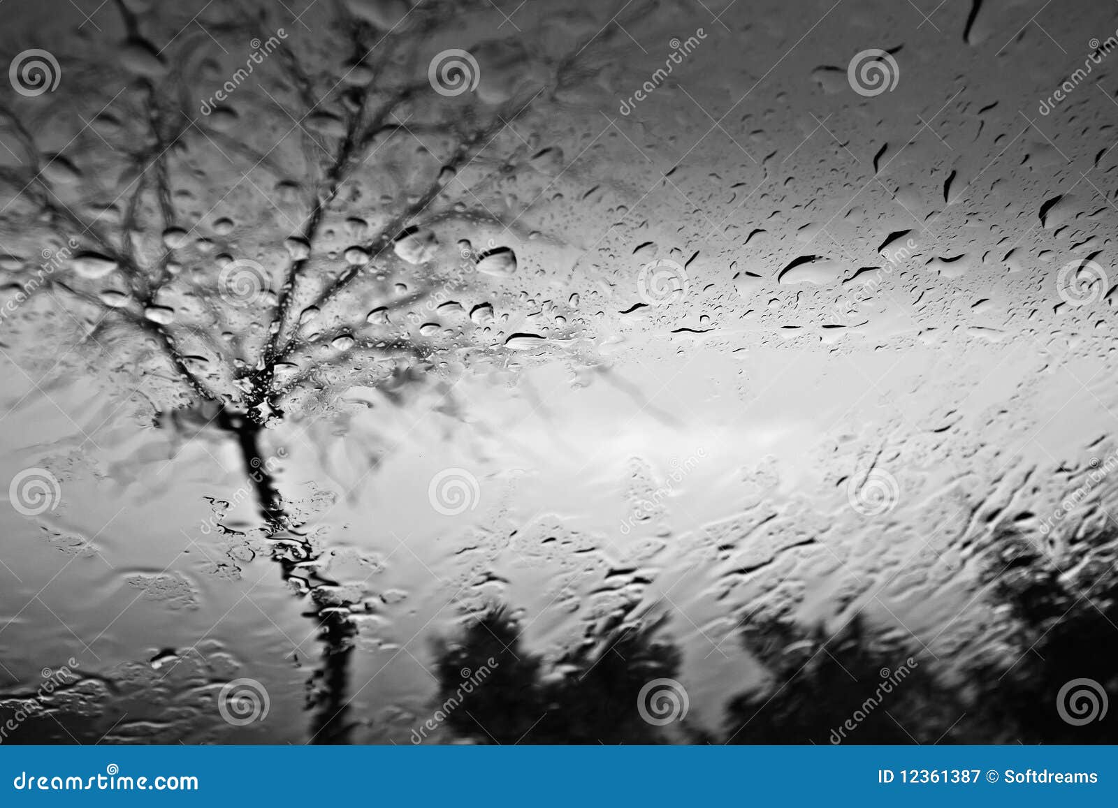 DROP on GLASS stock image. Image of cool, abstraction 12361387