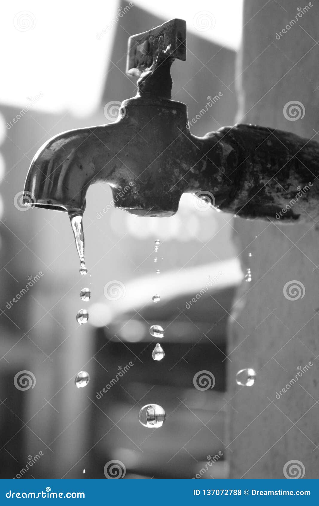 Drop Indian Water Resources Stock Photo Image of indian, water 137072788