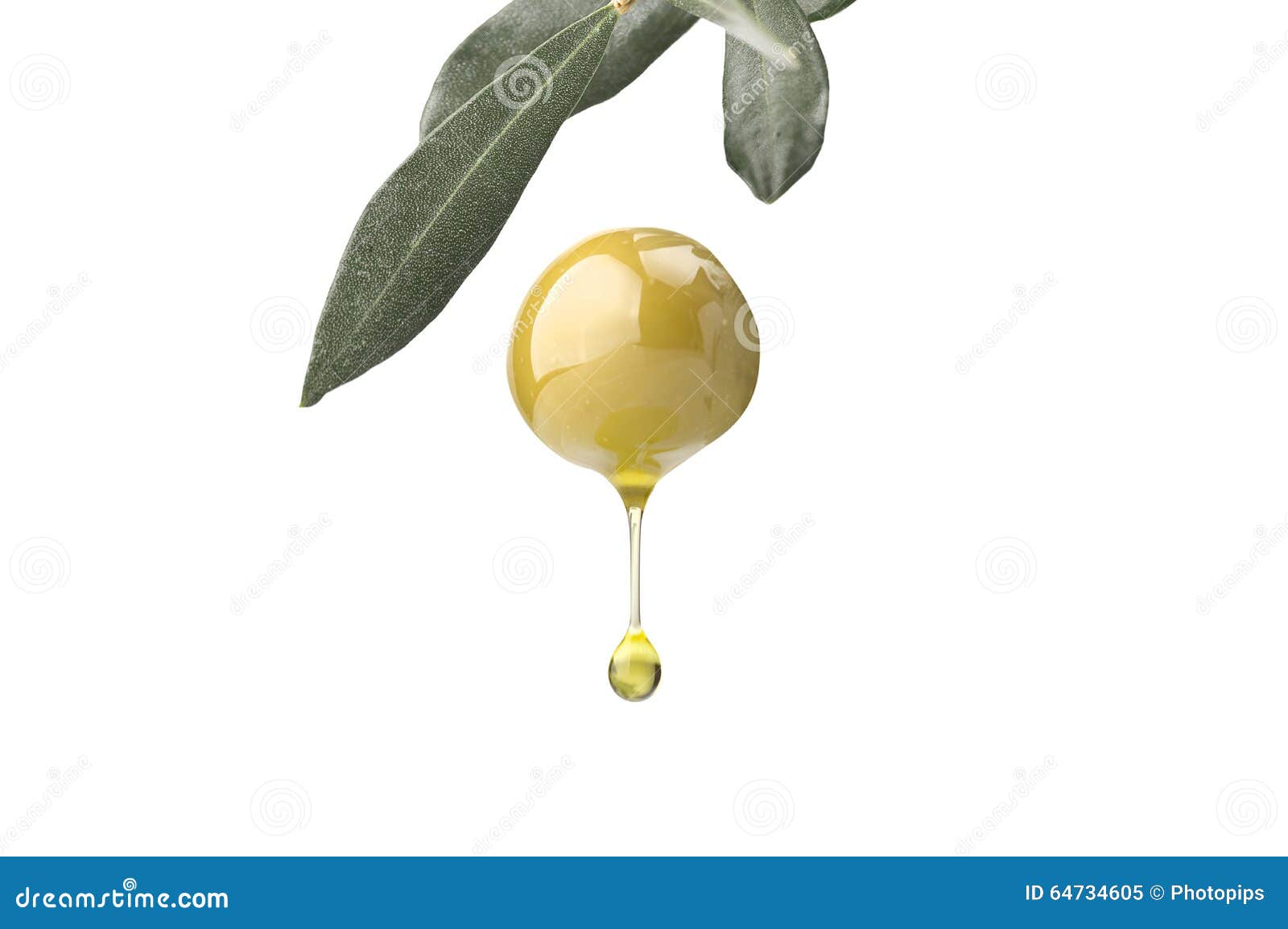 A drop of olive oil stock image. Image of berry, leaf 64734605