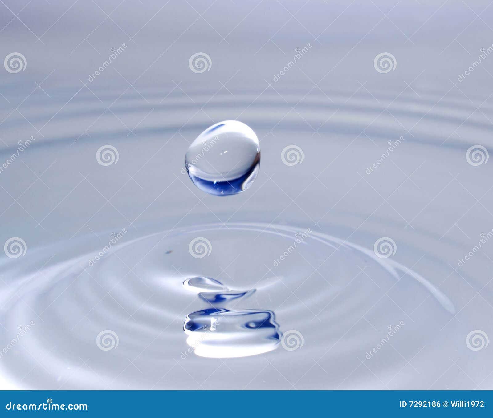 Droplet of Water from a Drip Splash Stock Photo Image of droplet, drop 7292186