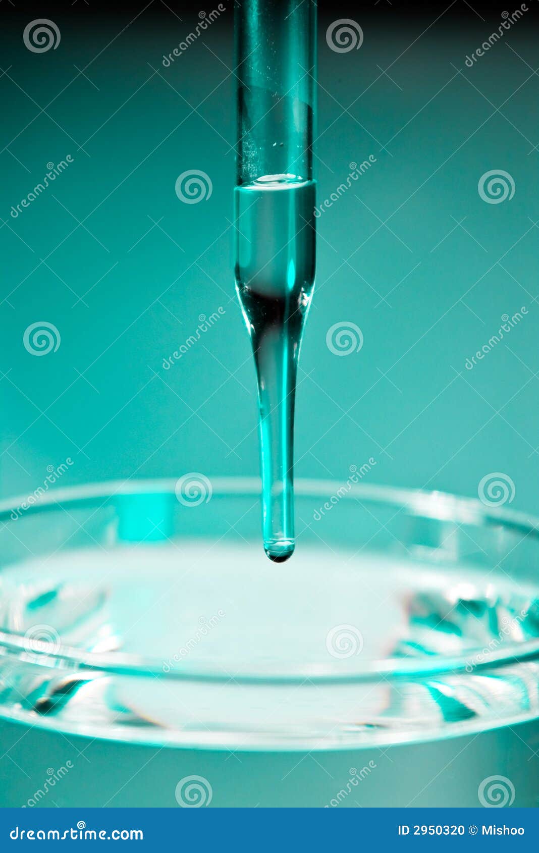 Dropper stock photo. Image of pharmaceutical, biochemistry 2950320