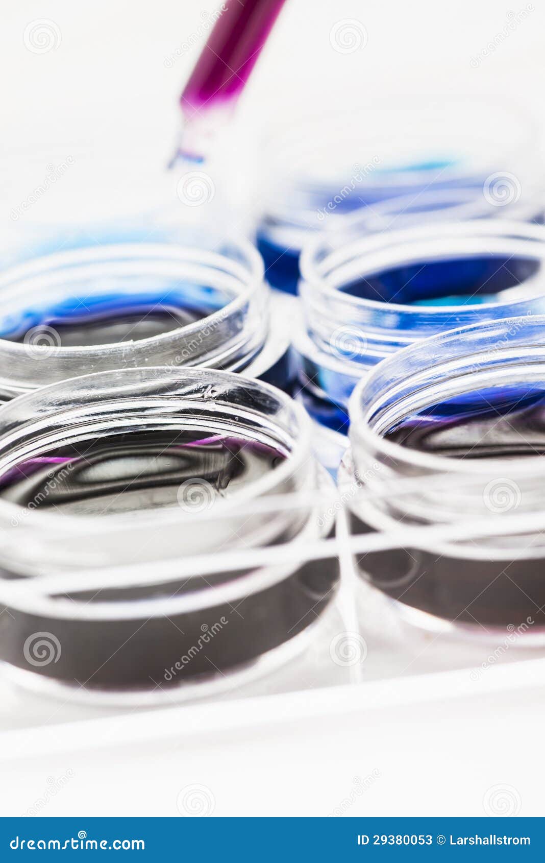 Dropper and Containers with Fluid in Research Lab Stock Image Image