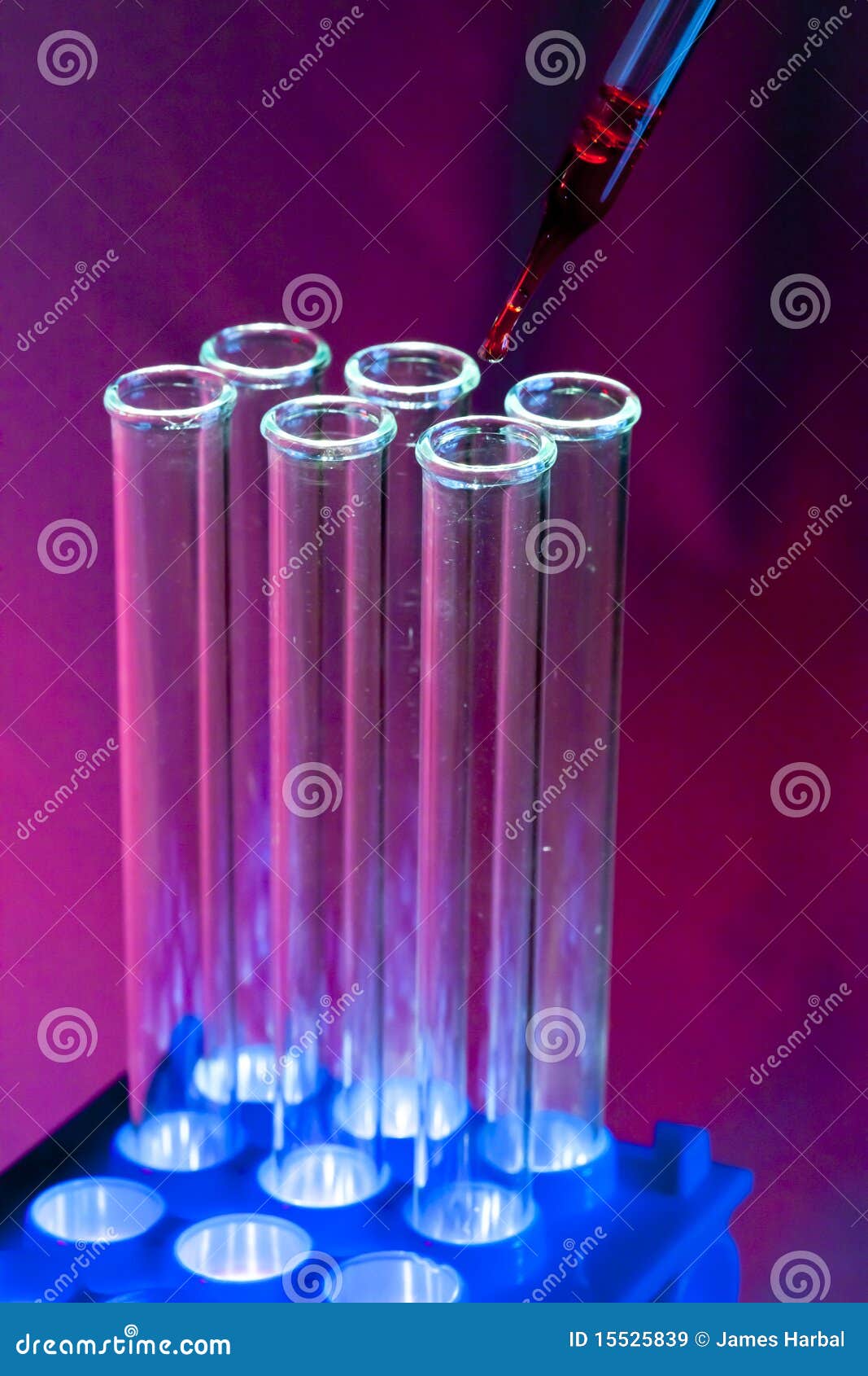 Dropping Blood into Test Tube in Rack Stock Image Image of test, cell