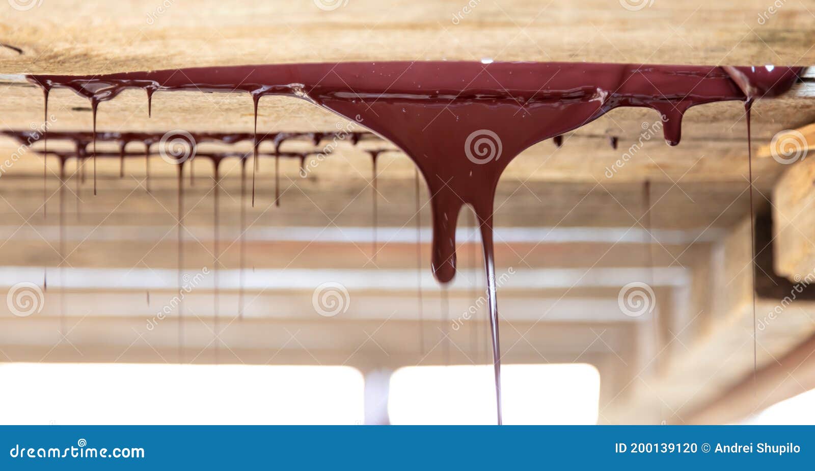 Drops of Brown Paint Dripping from the Wooden Ceiling Stock Photo