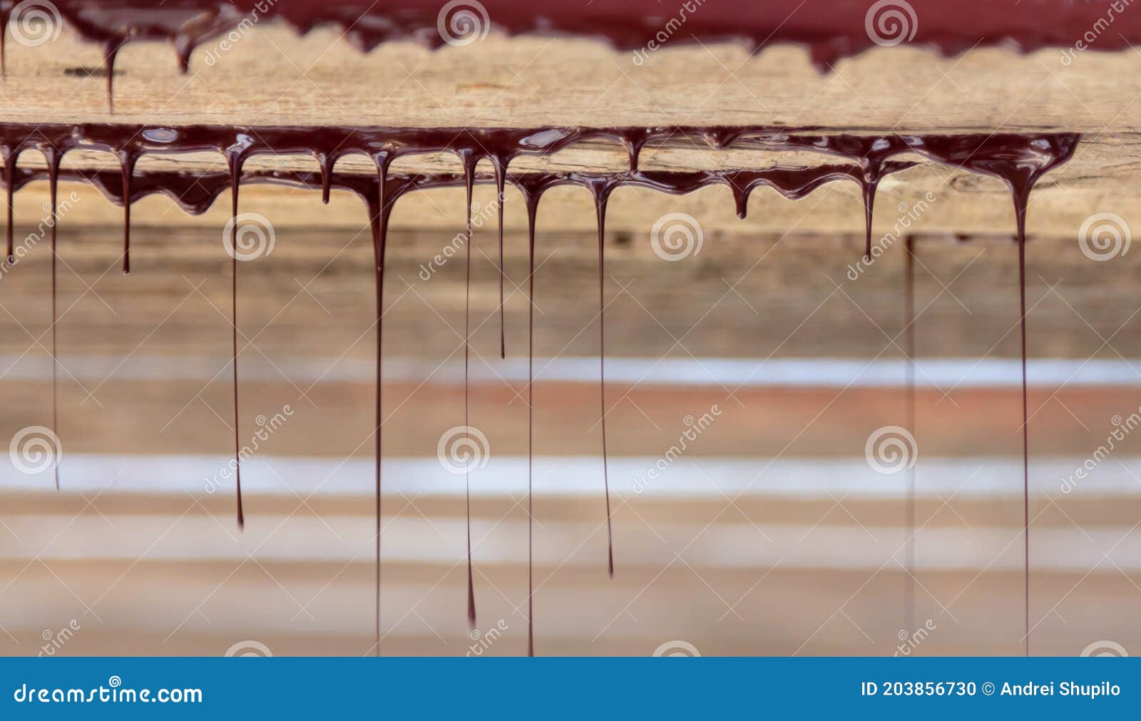 Drops of Brown Paint Dripping from the Wooden Ceiling Stock Photo