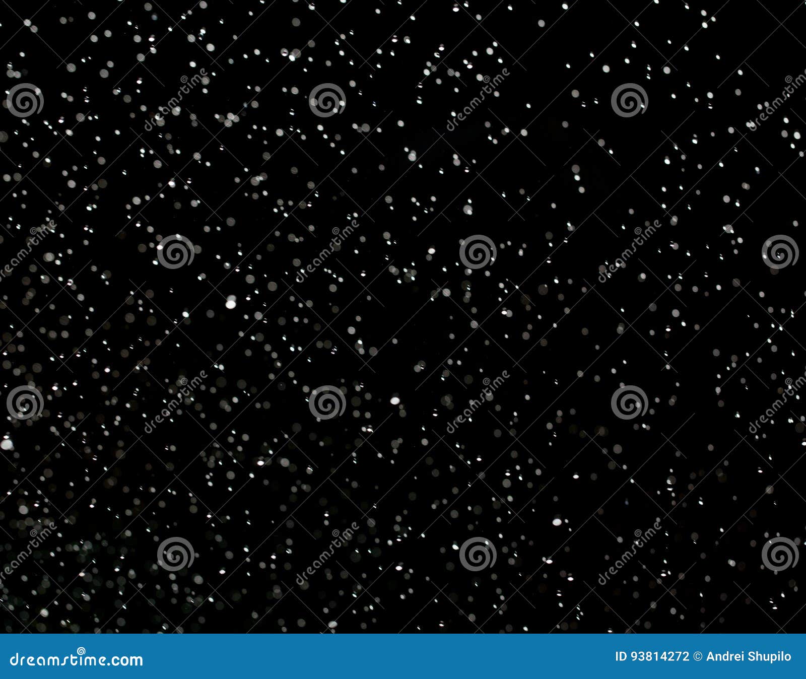 Drops of Rain on a Black Background Stock Photo Image of black