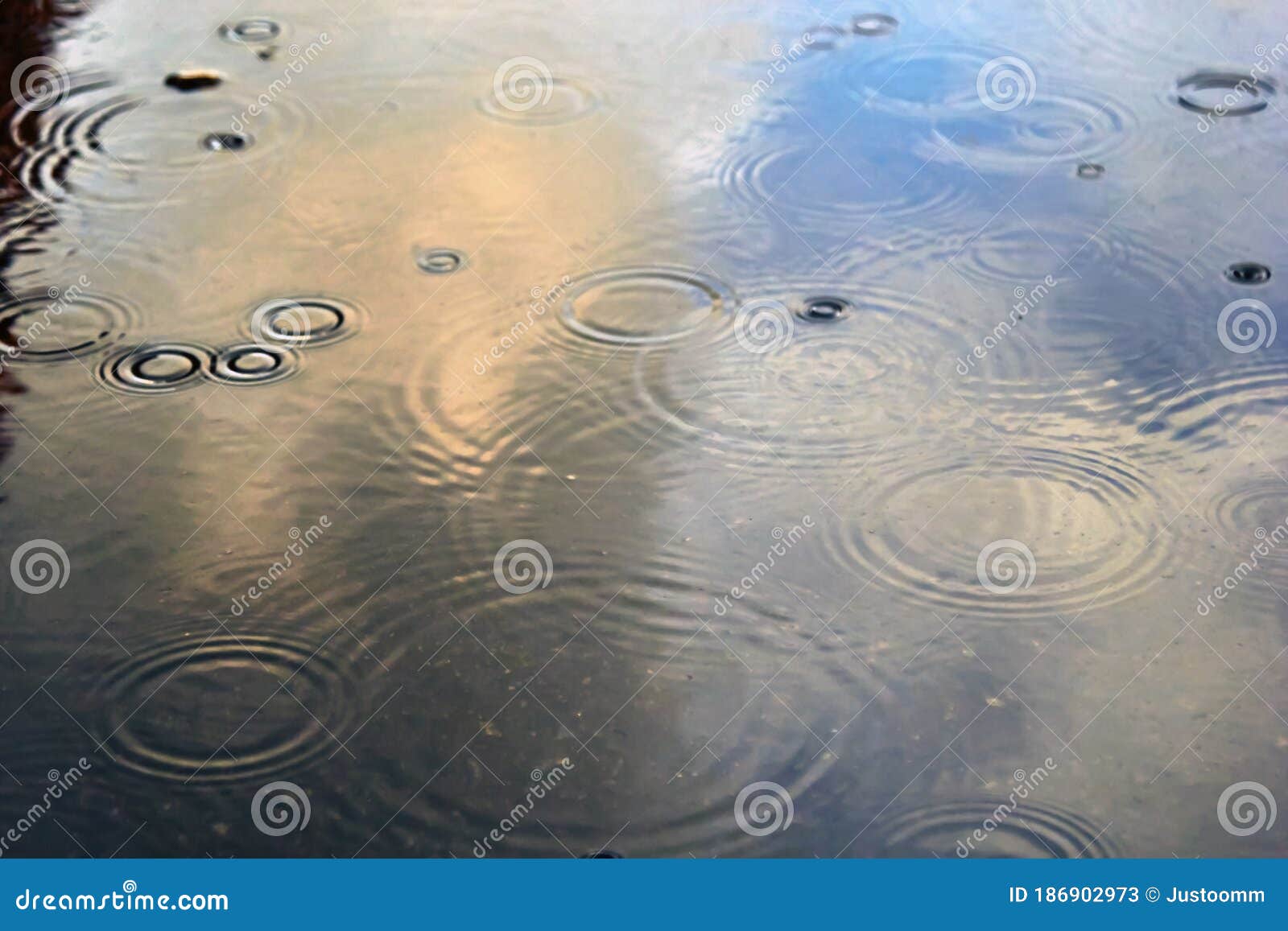 Drops of Rain Bubbling in a Puddle with the Reflection of Light Stock
