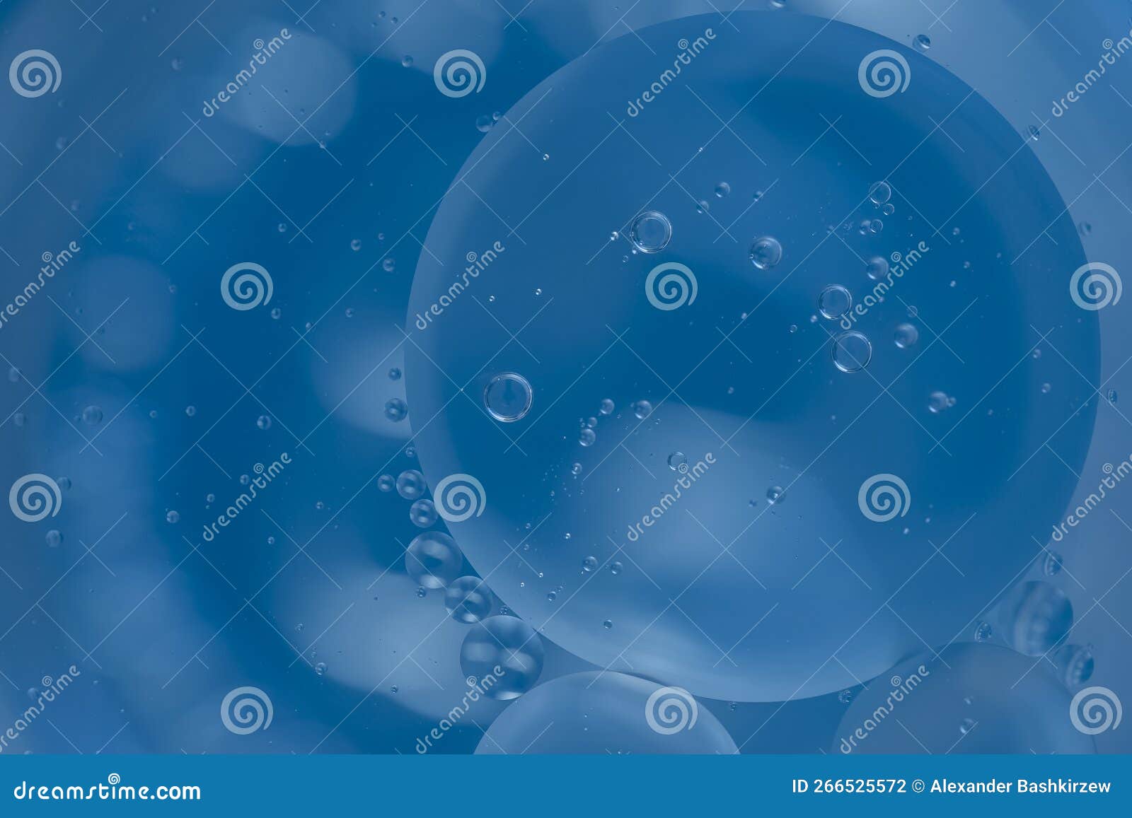Drops of Vegetable Oil in Water Stock Photo Image of chemical