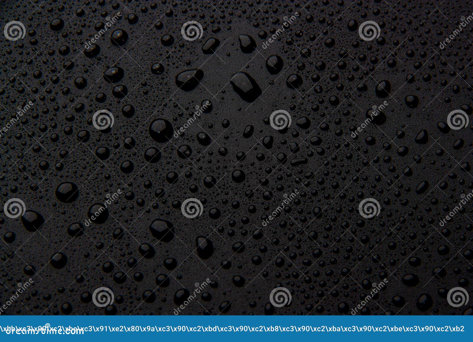 Drops of Water on a Black Background Stock Photo - Image of closeup