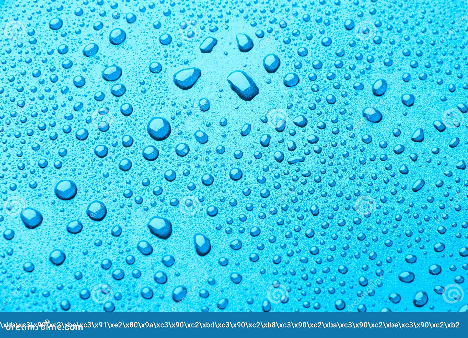 Drops of Water on a Color Background. Light Blue Stock Photo Image of