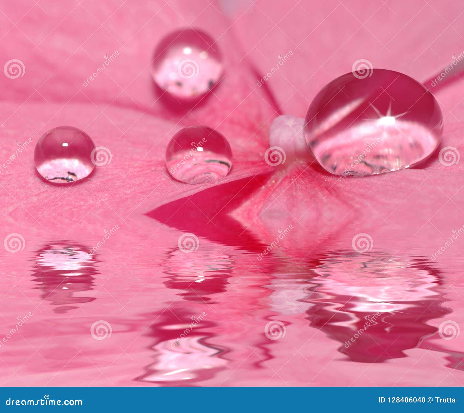 Drops of Water on Flower Petals Stock Photo Image of drops, decoration 128406040