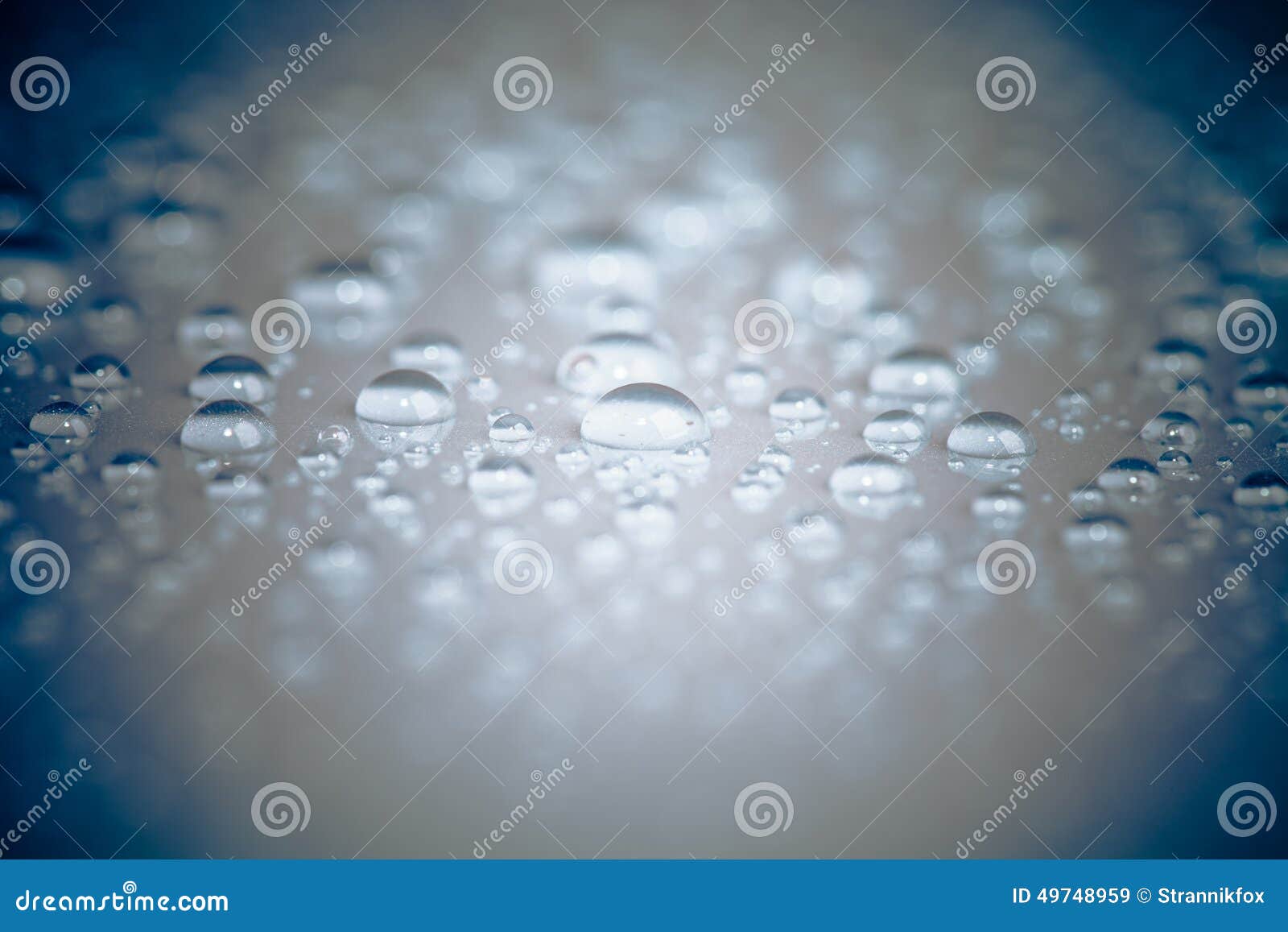on1 photo raw shallow dof effect on1 photo raw shallow dof effect