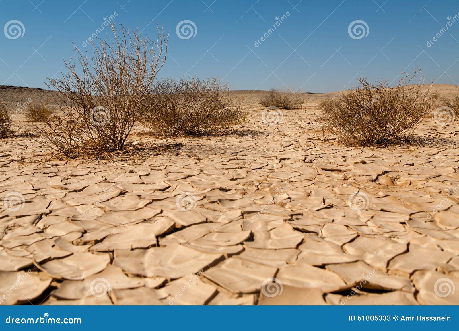 drought and desertification