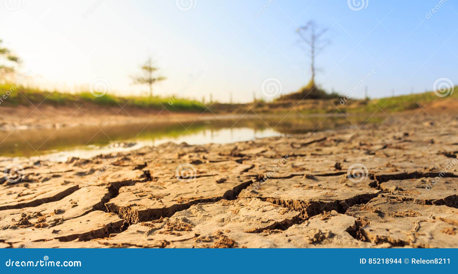 Drought Land so Long Waterless Stock Photo Image of drought, dirt