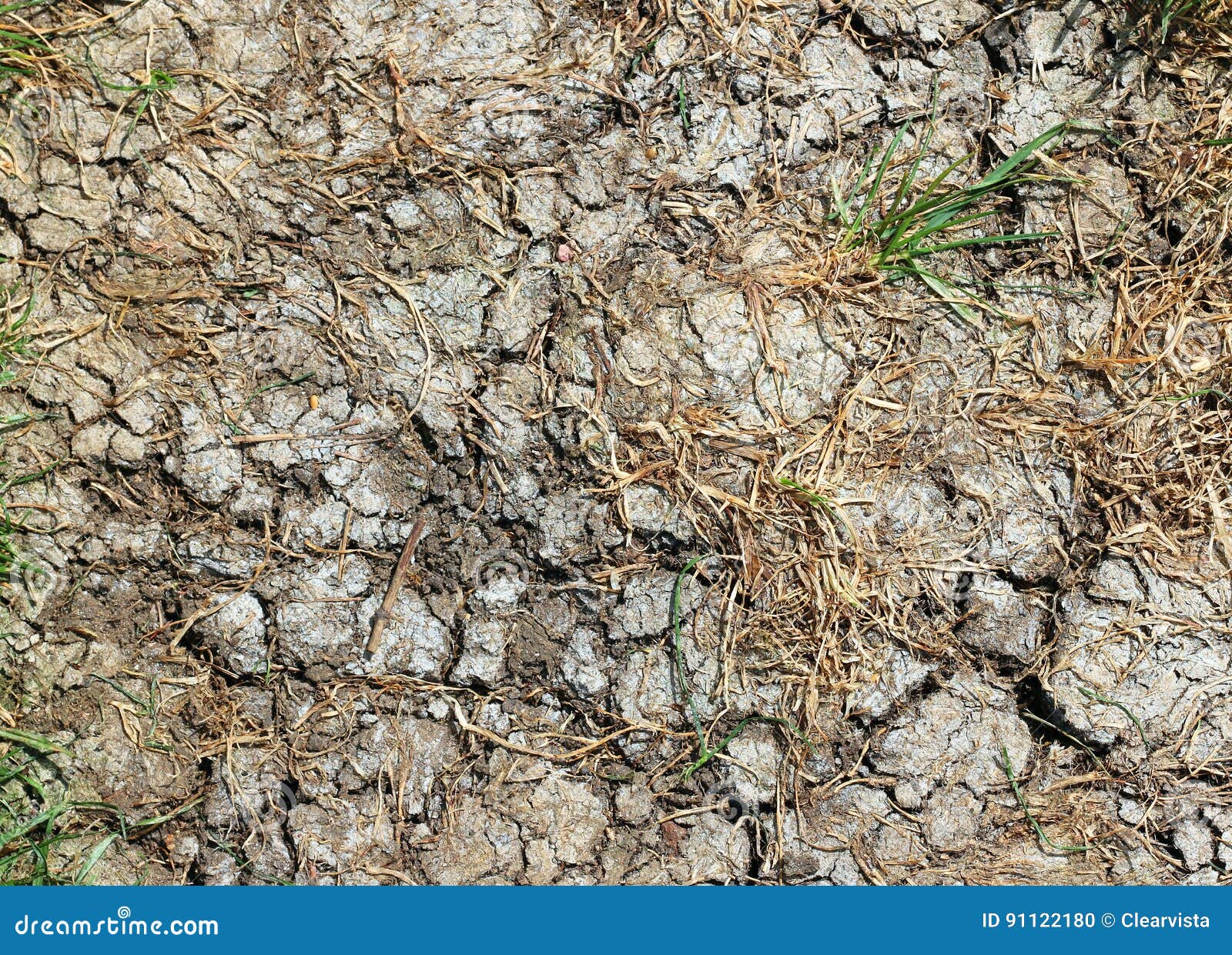 drought. parched dry cracked ground.