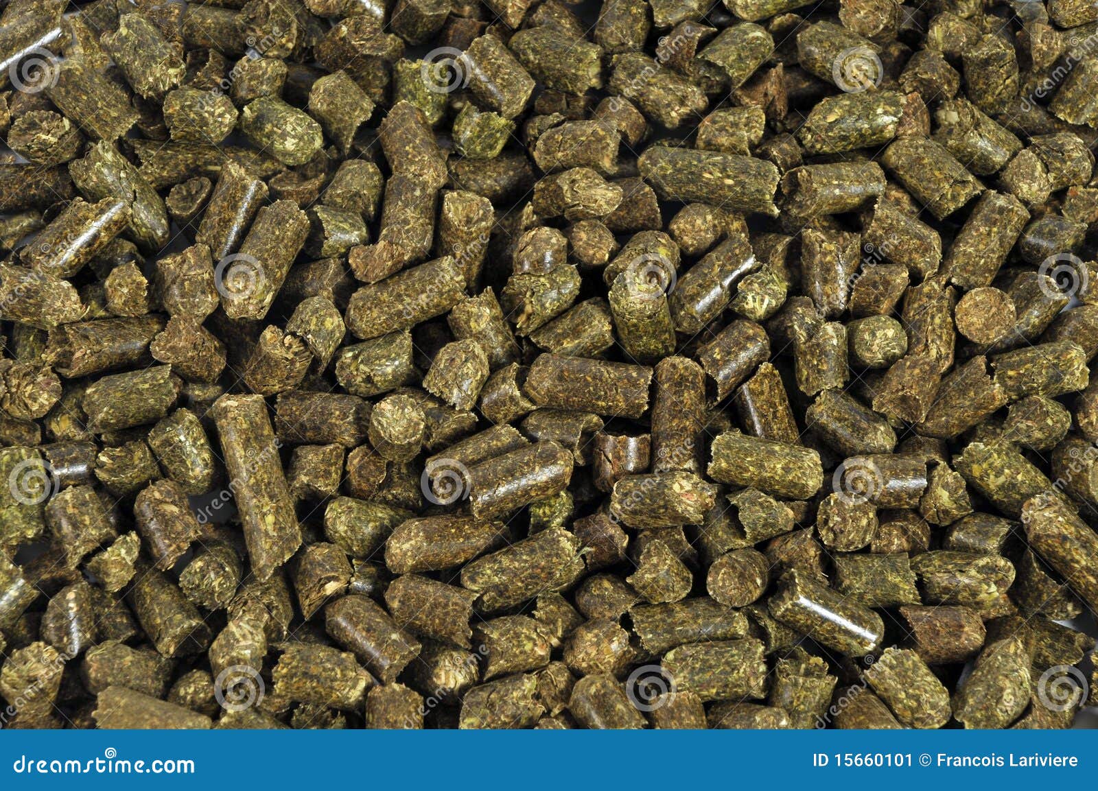Dry Alfalfa animals food stock image. Image of food, closeup 15660101