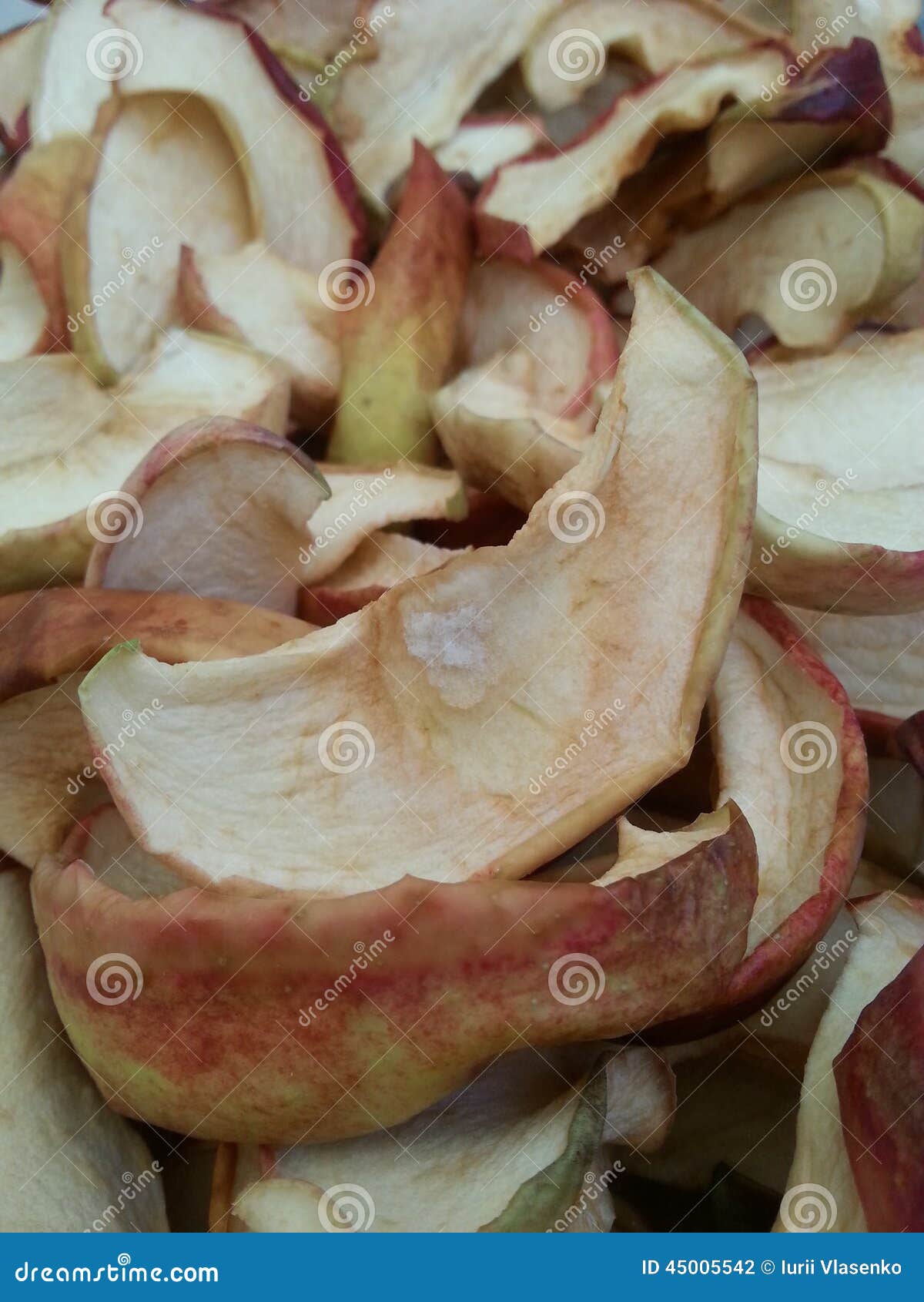 Dry apples stock photo. Image of save, apple, outumn 45005542