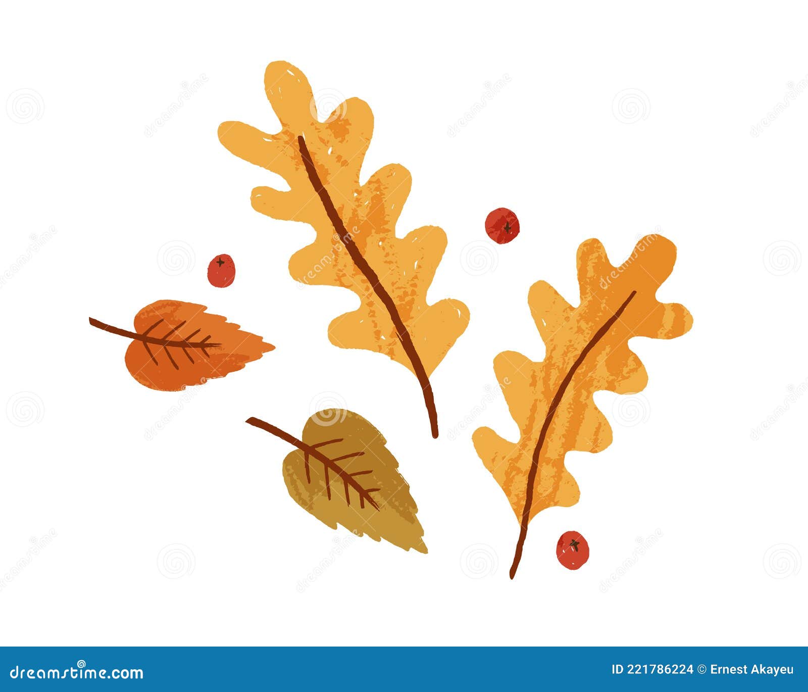 dry autumn leaves and rowan berries. fall foliage composition with oak and birch leaf. top view of autumnal leafage