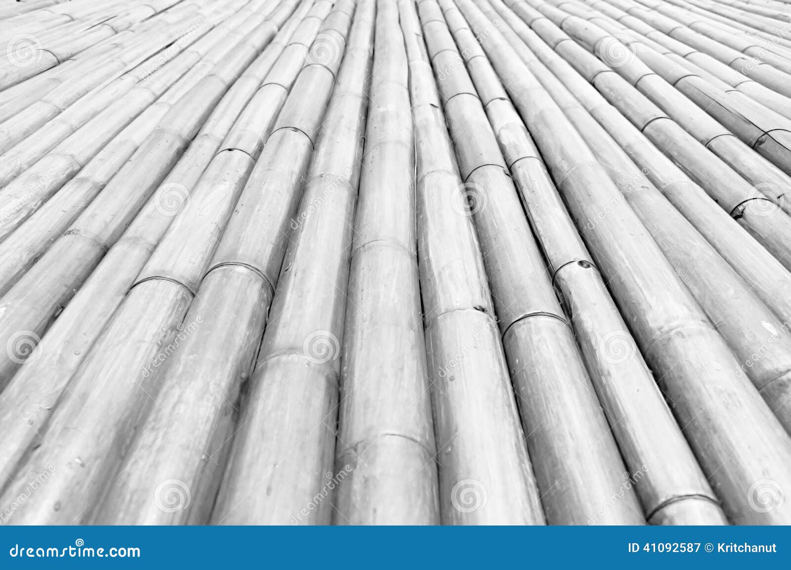 Dry bamboo stalks stock image. Image of wall, abstract 41092587