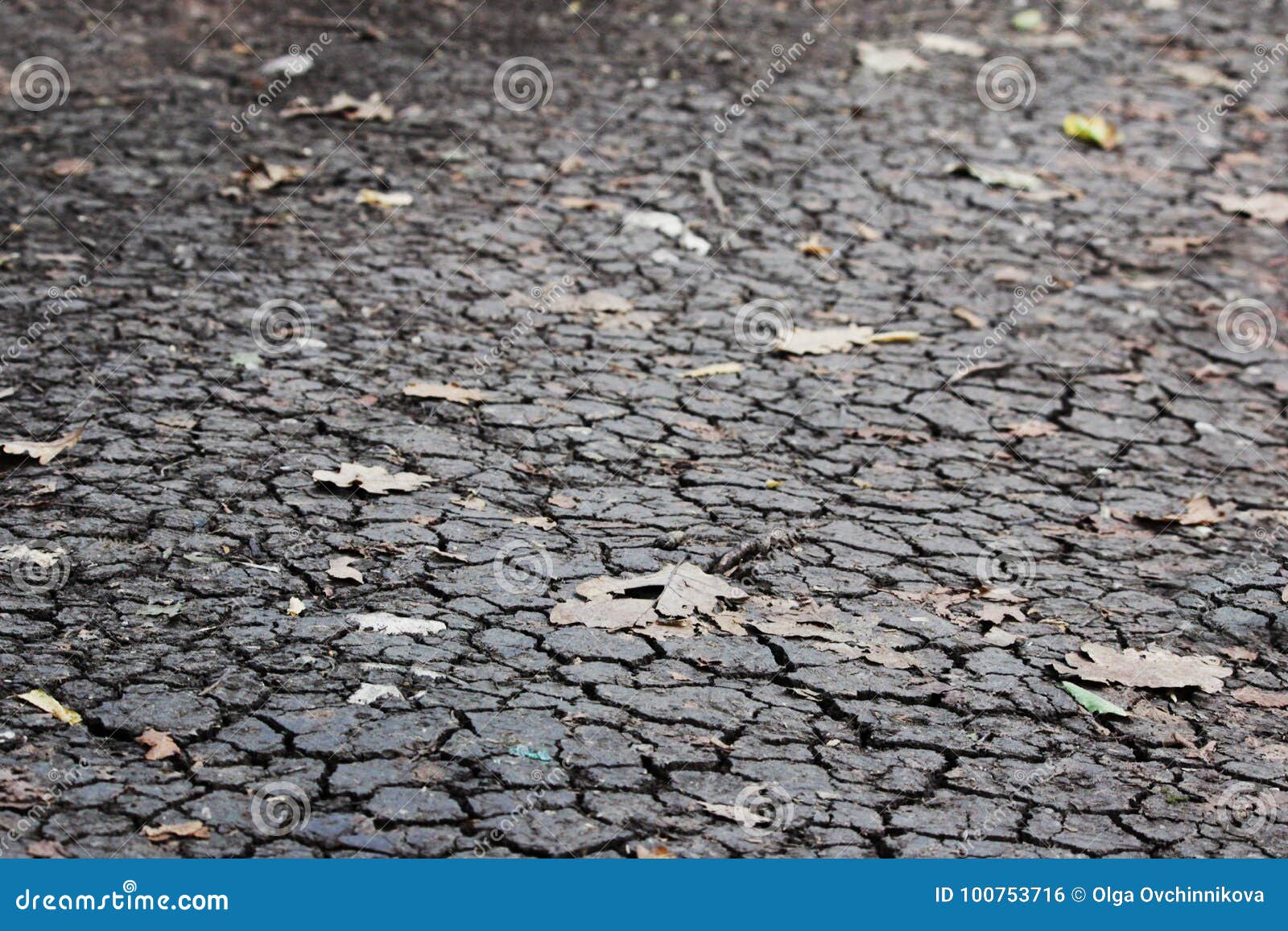 Dry Black Soil With Leaves From Trees In The Forest During A Hot Dry