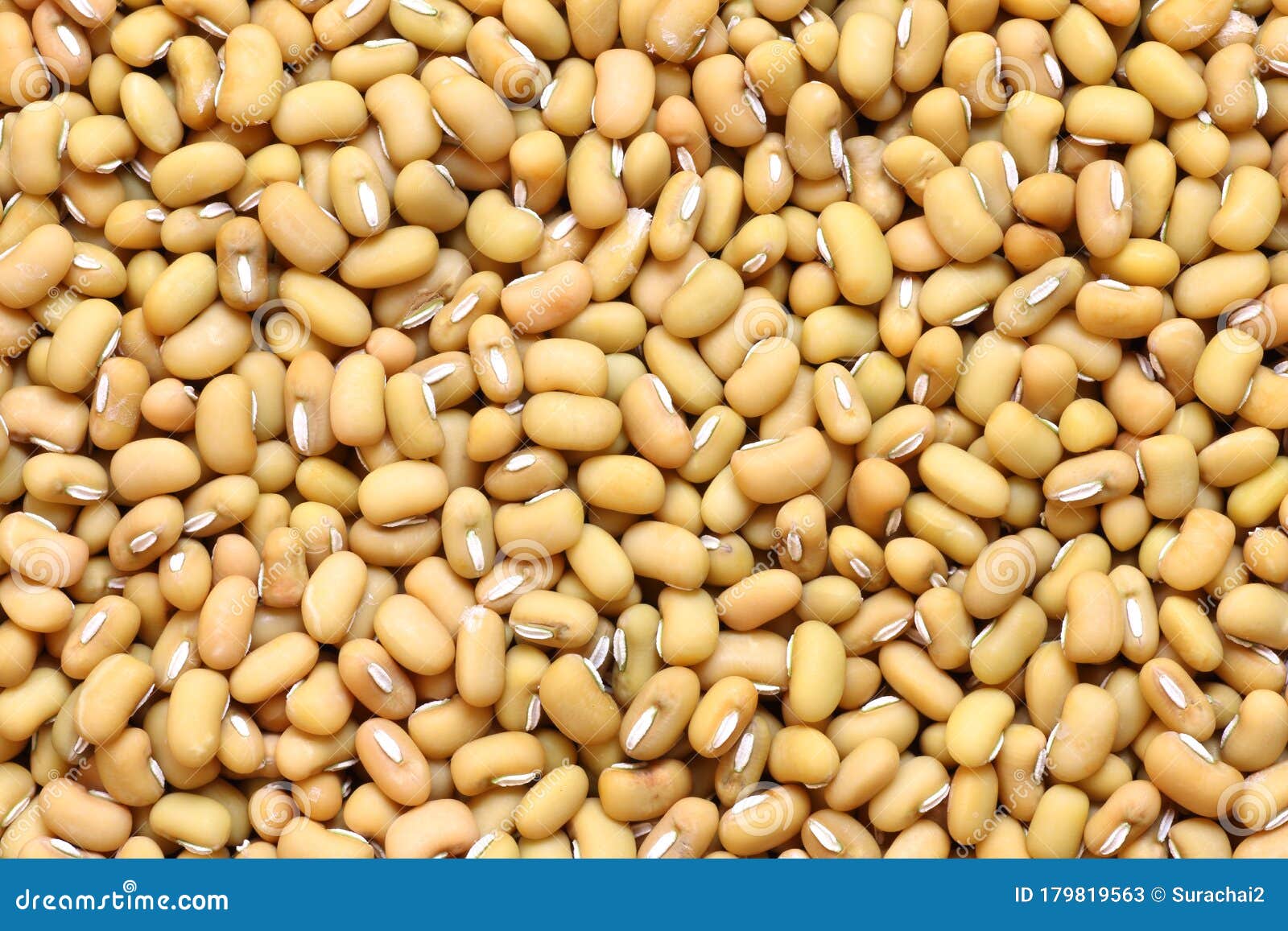 Dry Brown Mung Beans Background or Texture Stock Image Image of black