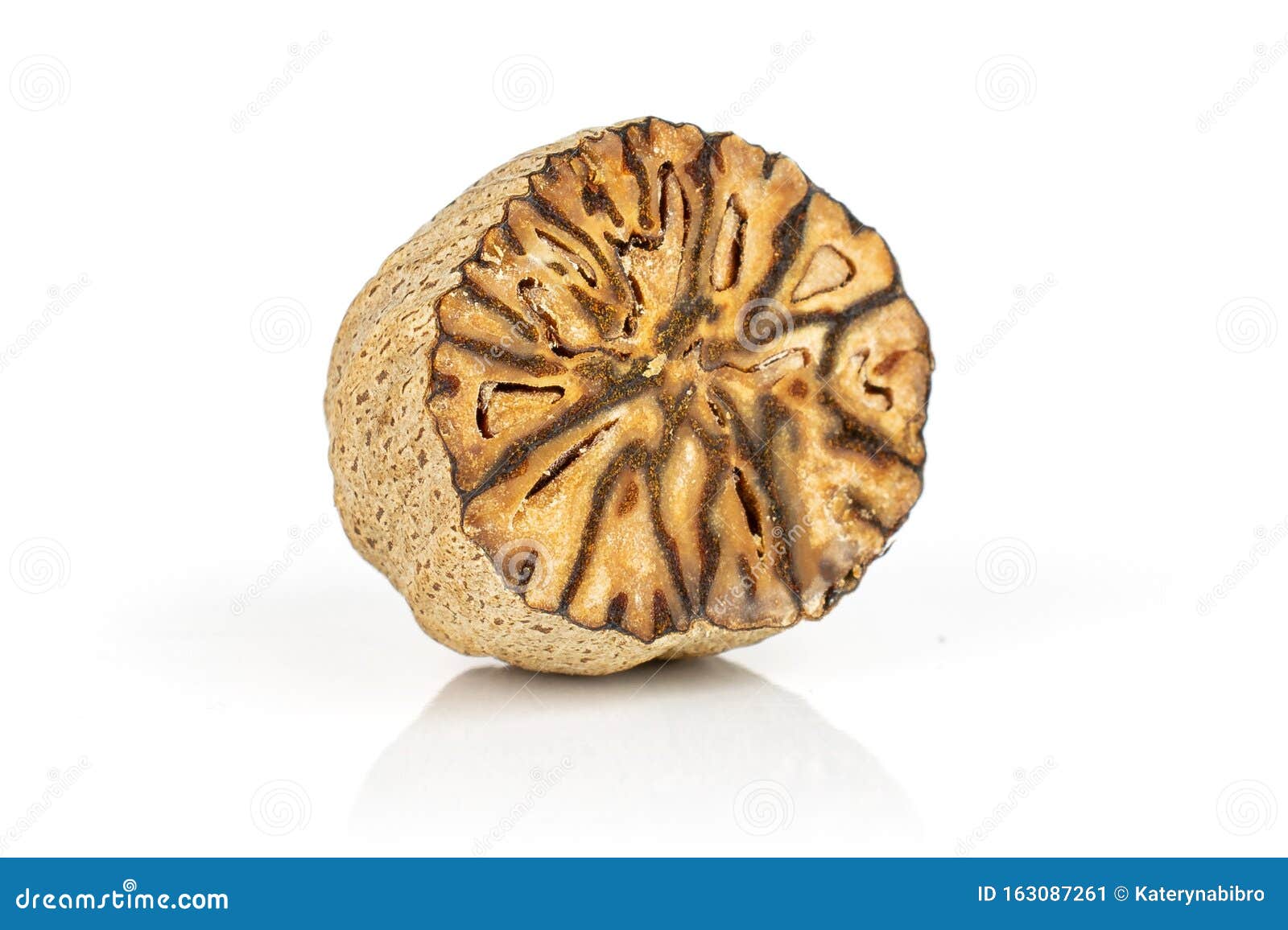 Dry Brown Nutmeg Isolated on White Stock Image Image of hard, nature