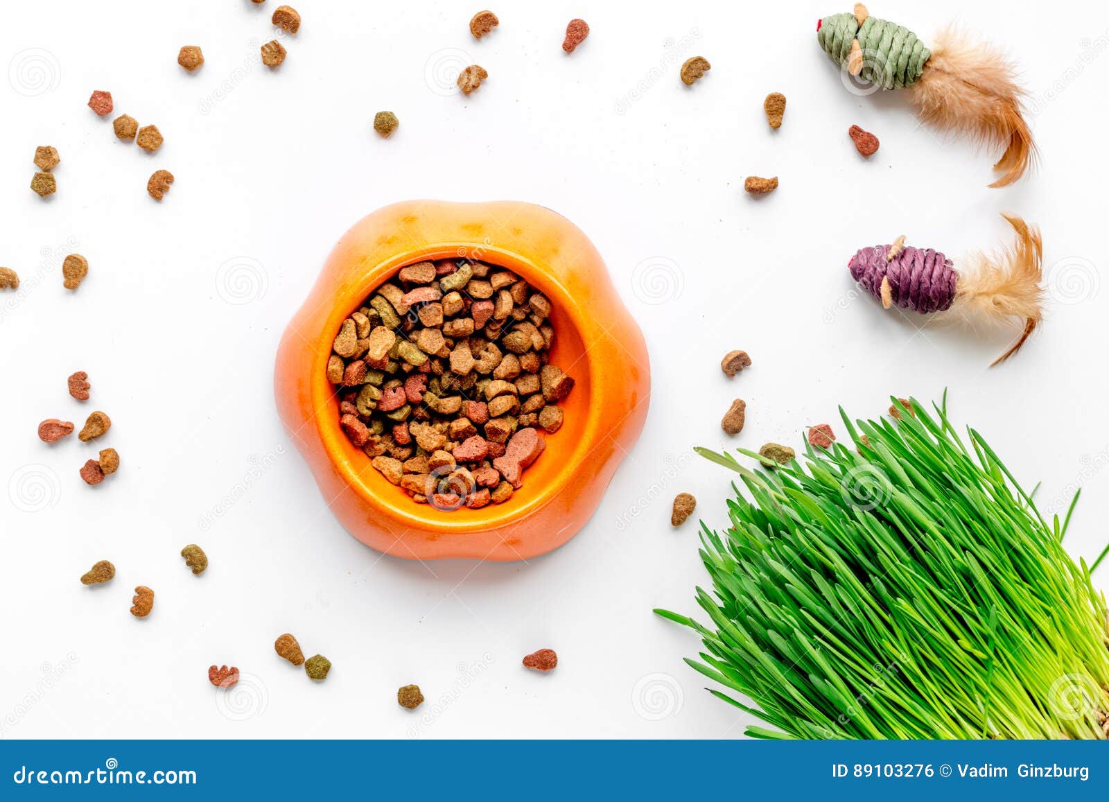 Dry Cat Food in Bowl on White Background Top View Stock Photo Image