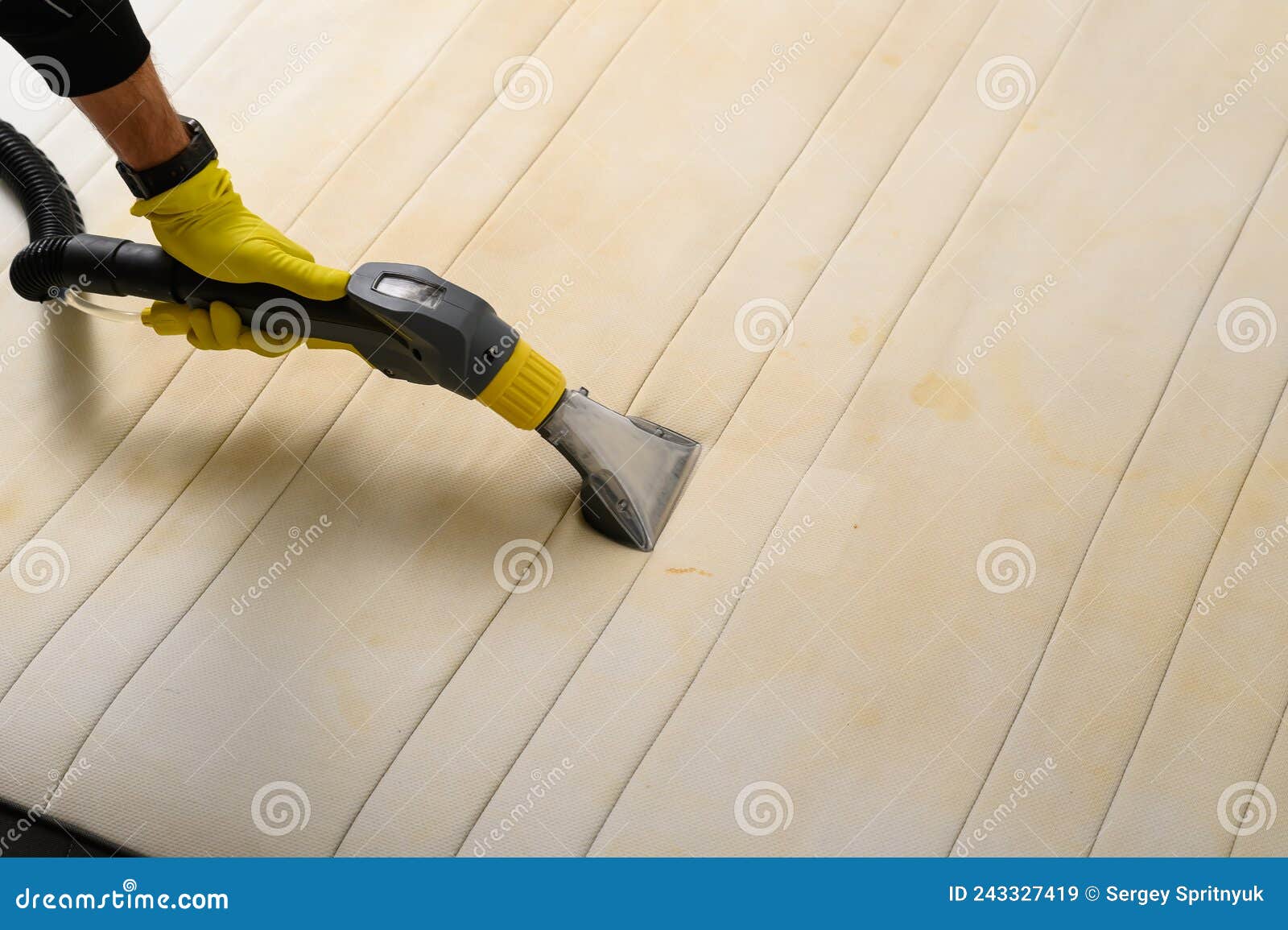 Dry Cleaning of an Old White Mattress Stock Image Image of ecological, rinsing 243327419