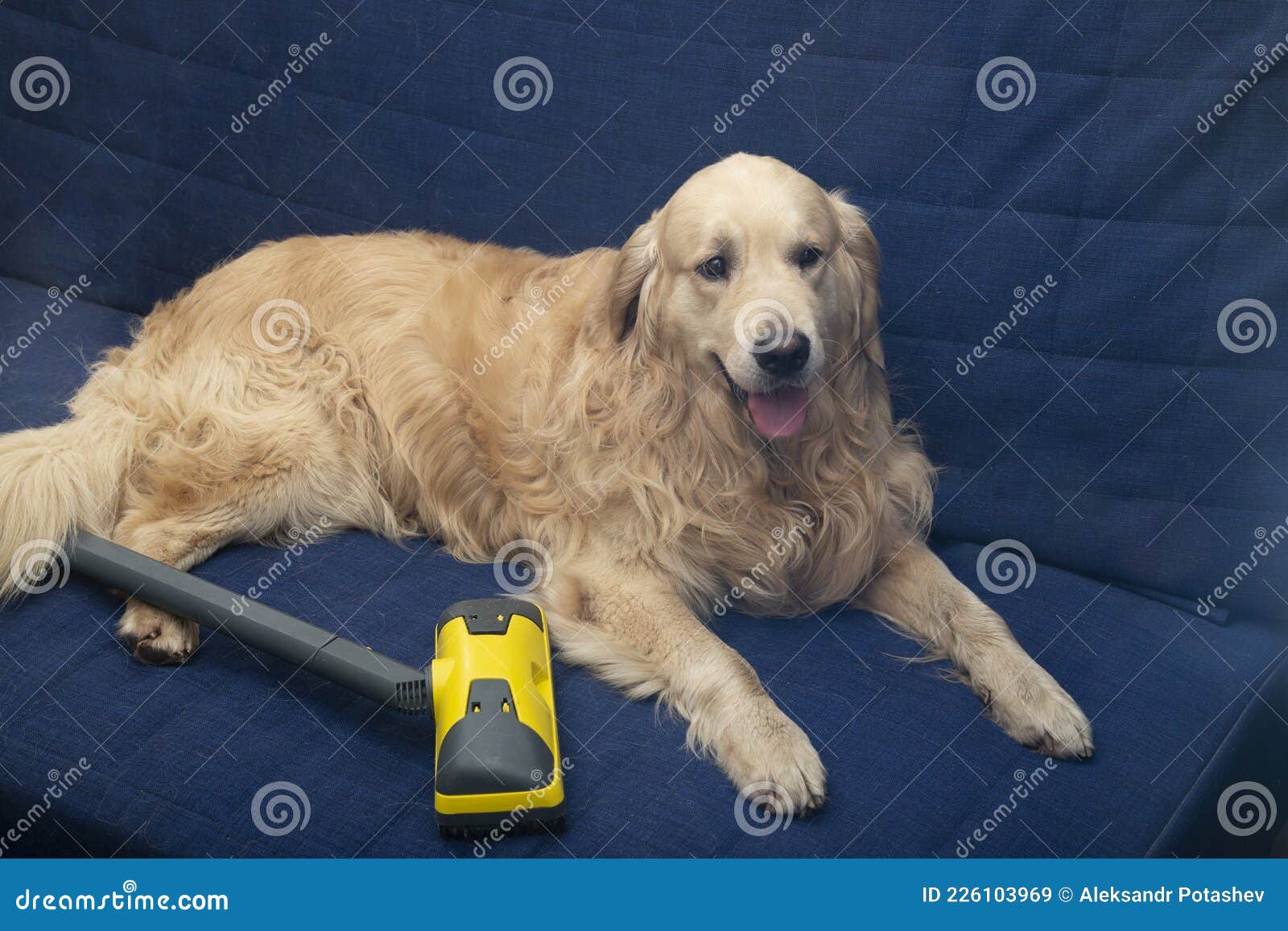 Dry Cleaning of Sofas.Cleaning and Cleaning of Furniture Stock Image