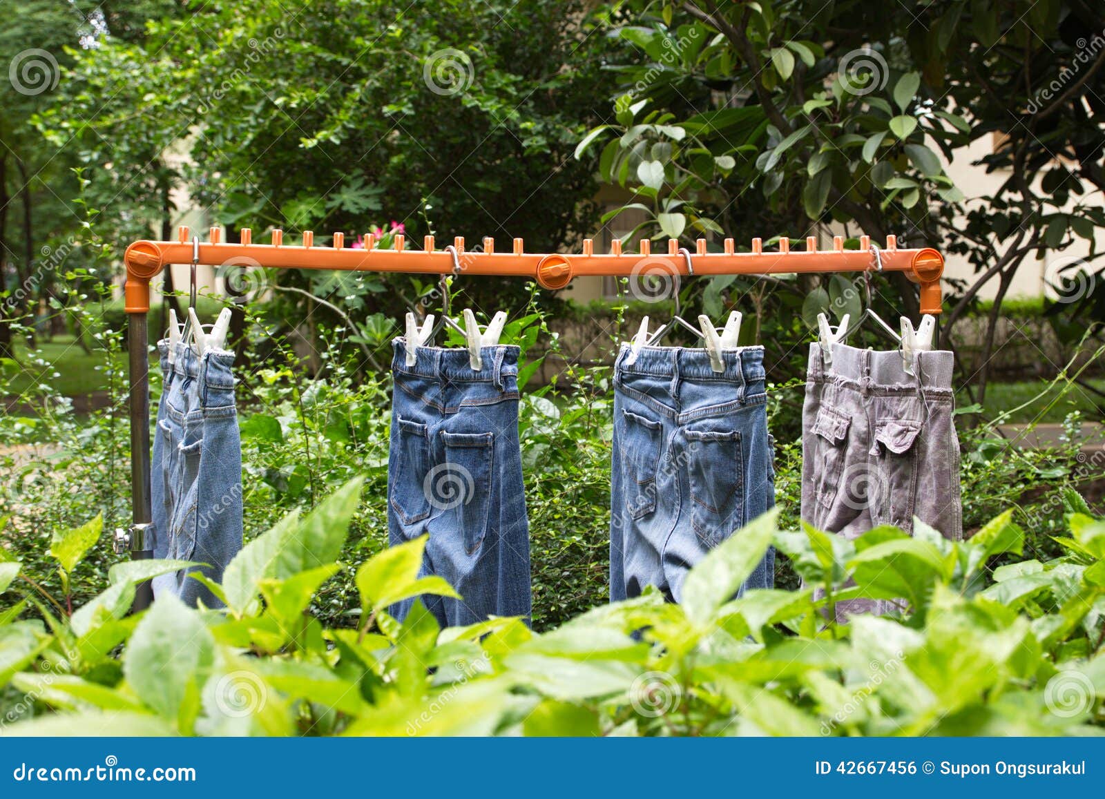 Dry clothes in the sun stock photo. Image of garden, clothes 42667456