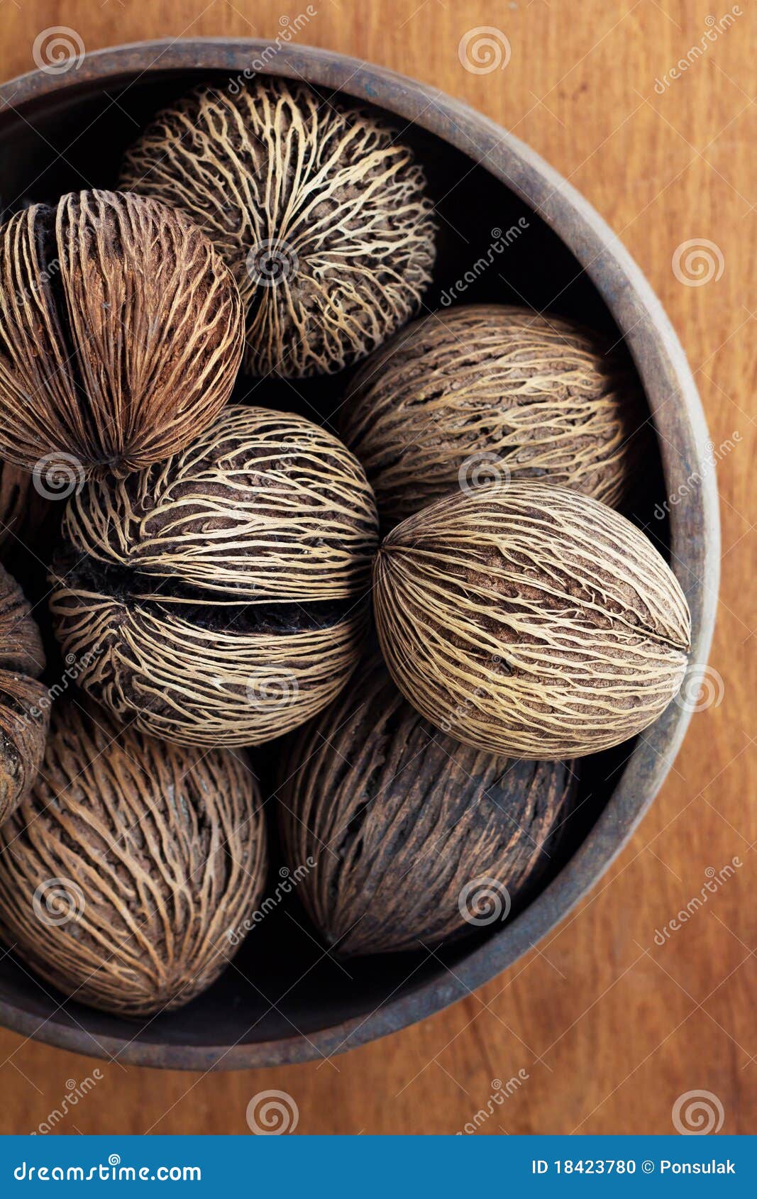 Dry coconut home decor stock photo. Image of coconut 18423780