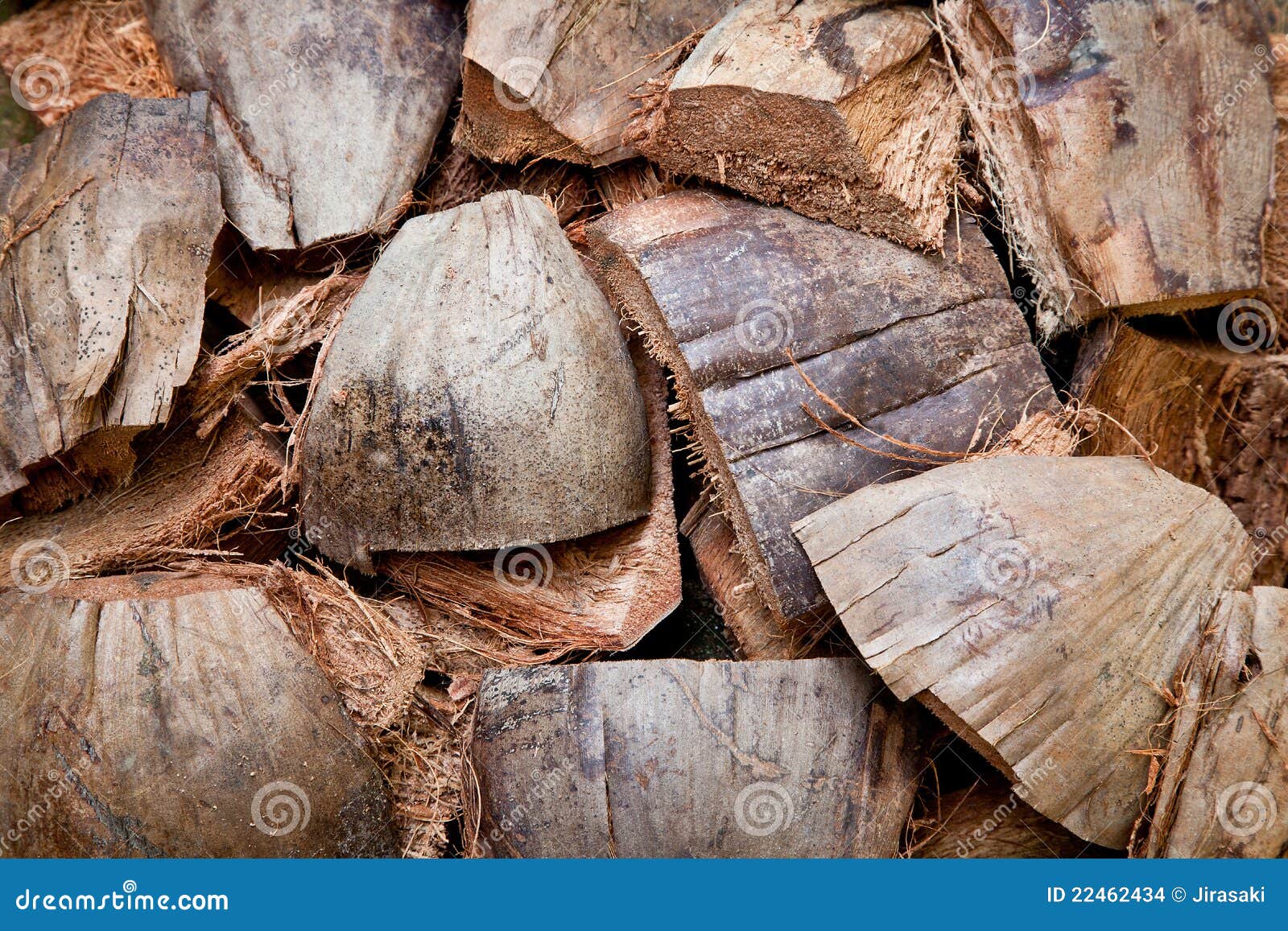 Dry coconut skin stock photo. Image of garden, tool, dirty 22462434