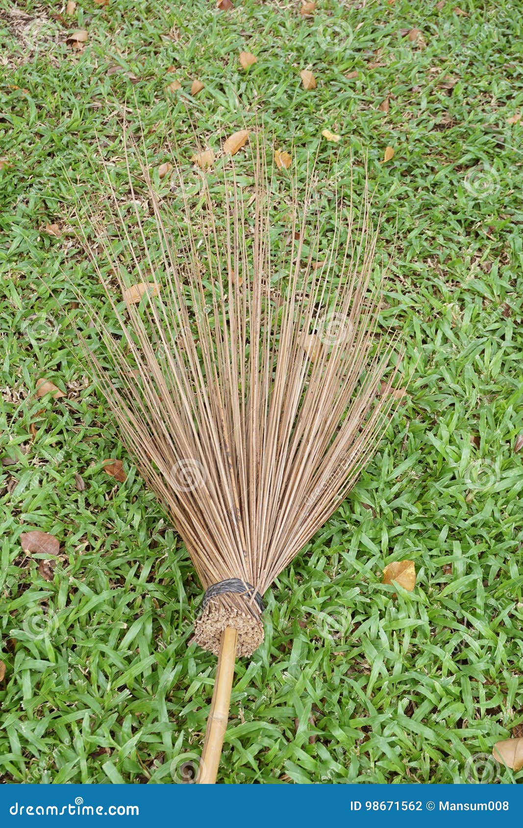 Dry Coconut Stick Broom on Grass Ground Stock Photo Image of nature
