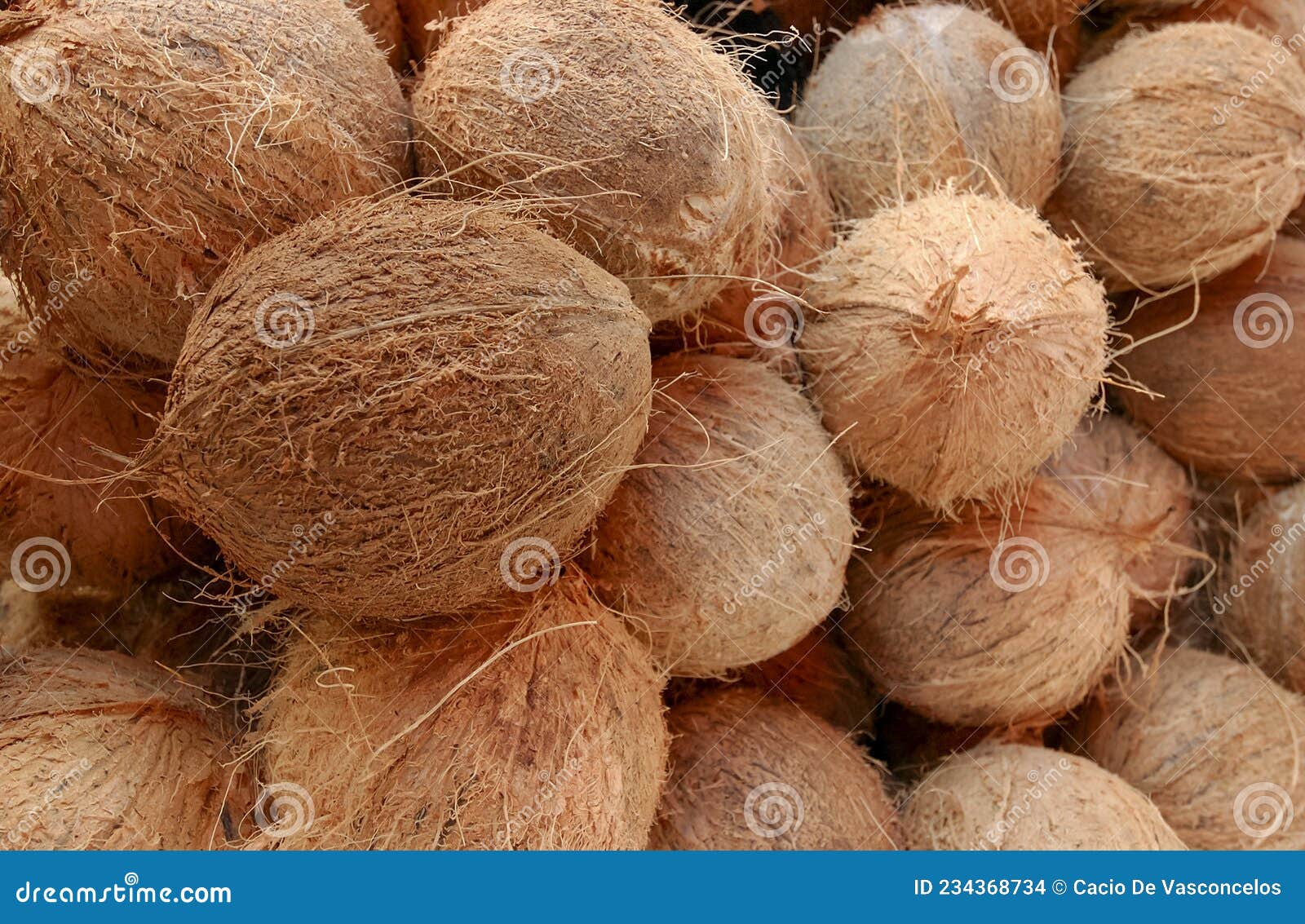 dry coconuts for industrial processing