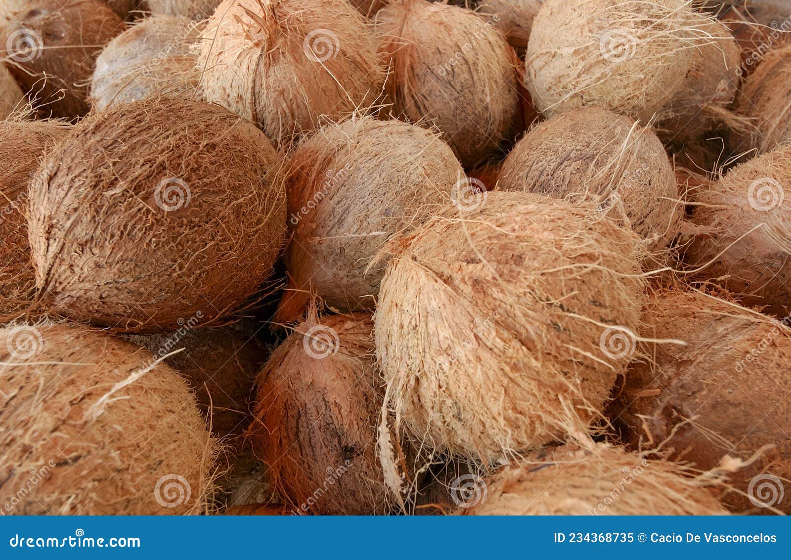 dry coconuts for industrial processing