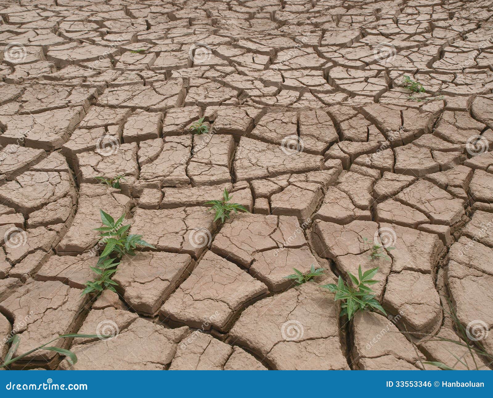 Dry cracked land stock photo. Image of environment, close 33553346
