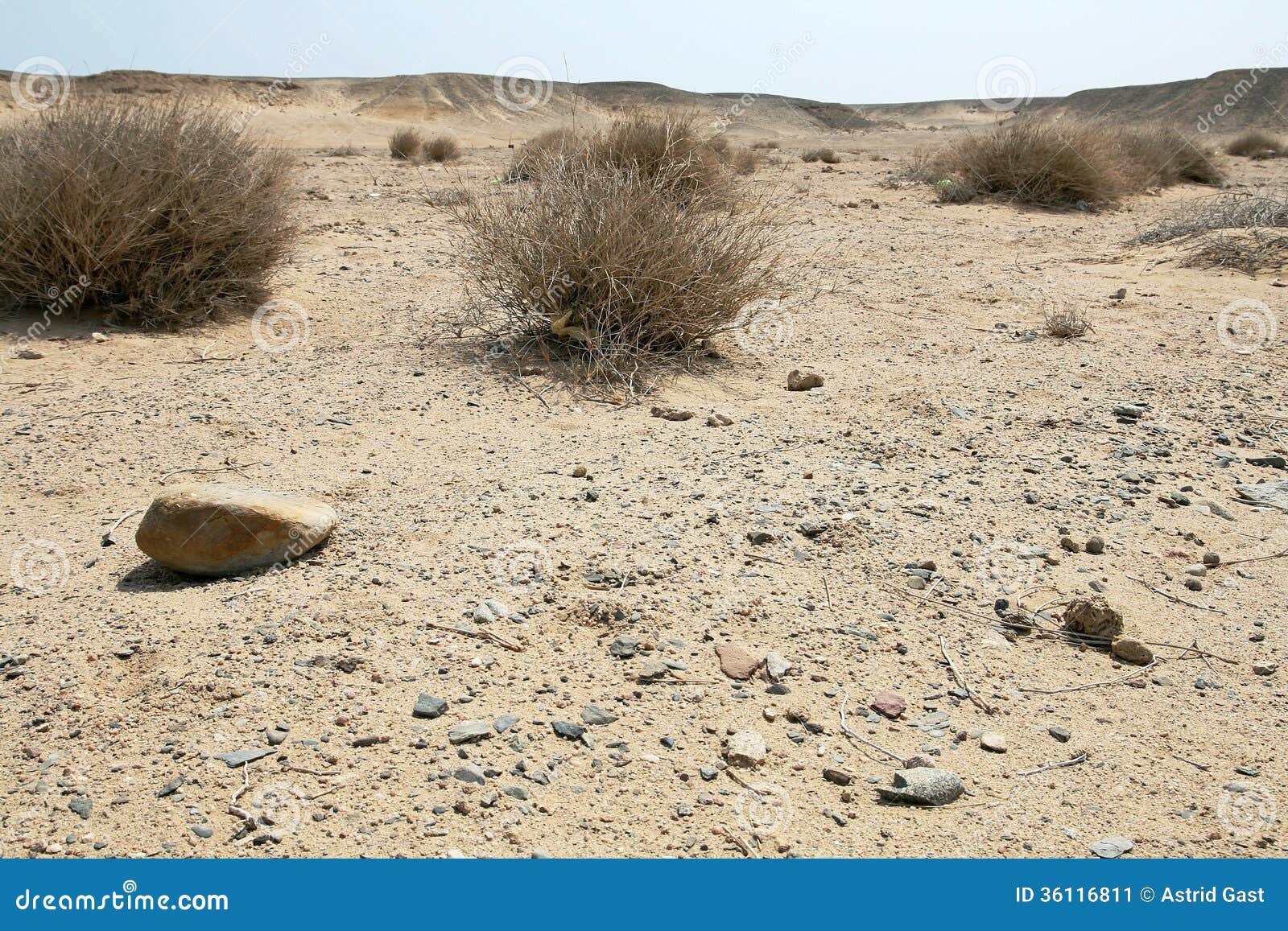 The dry desert stock image. Image of loneliness, level 36116811