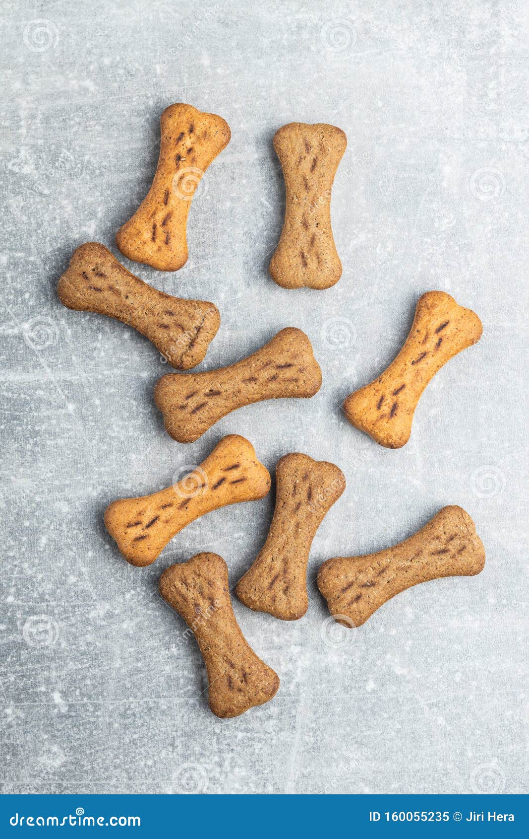 Dry dog food. Bone shape stock image. Image of diet 160055235