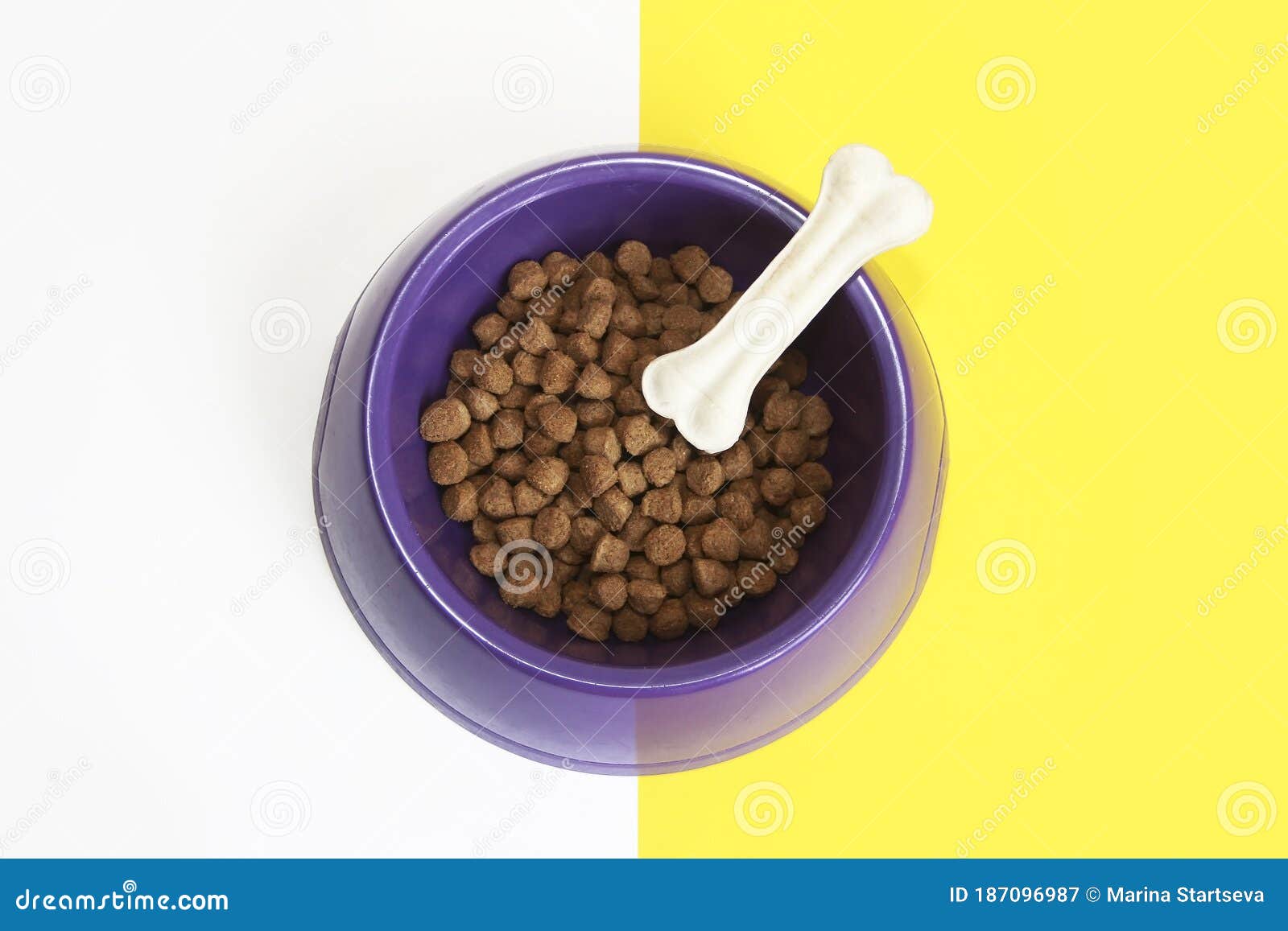 Dry Dog Food in a Plate and White Bone Stock Image Image of bone, nutrition 187096987